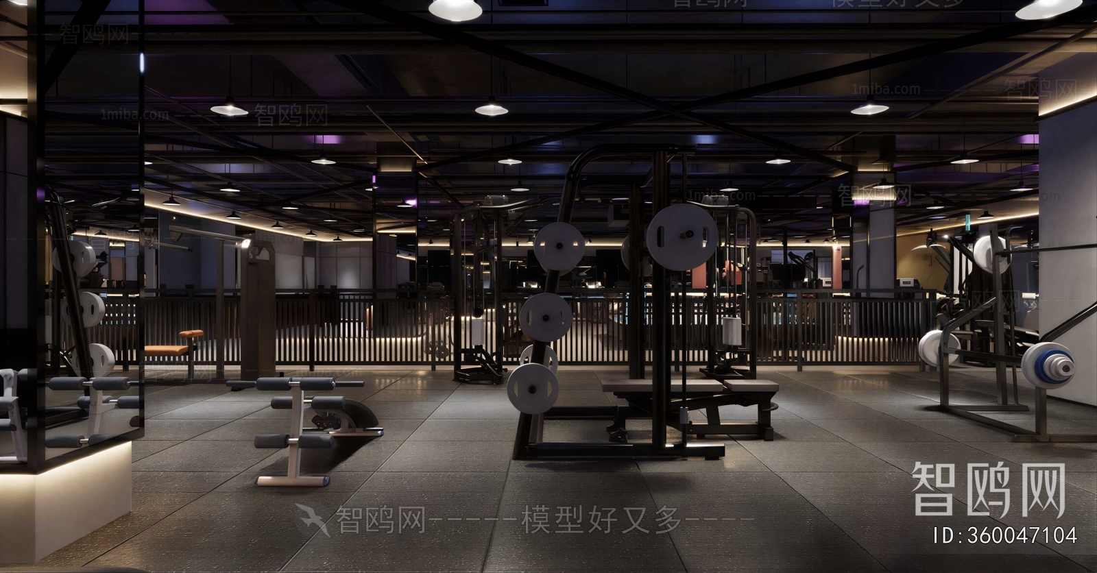 Industrial Style Gym