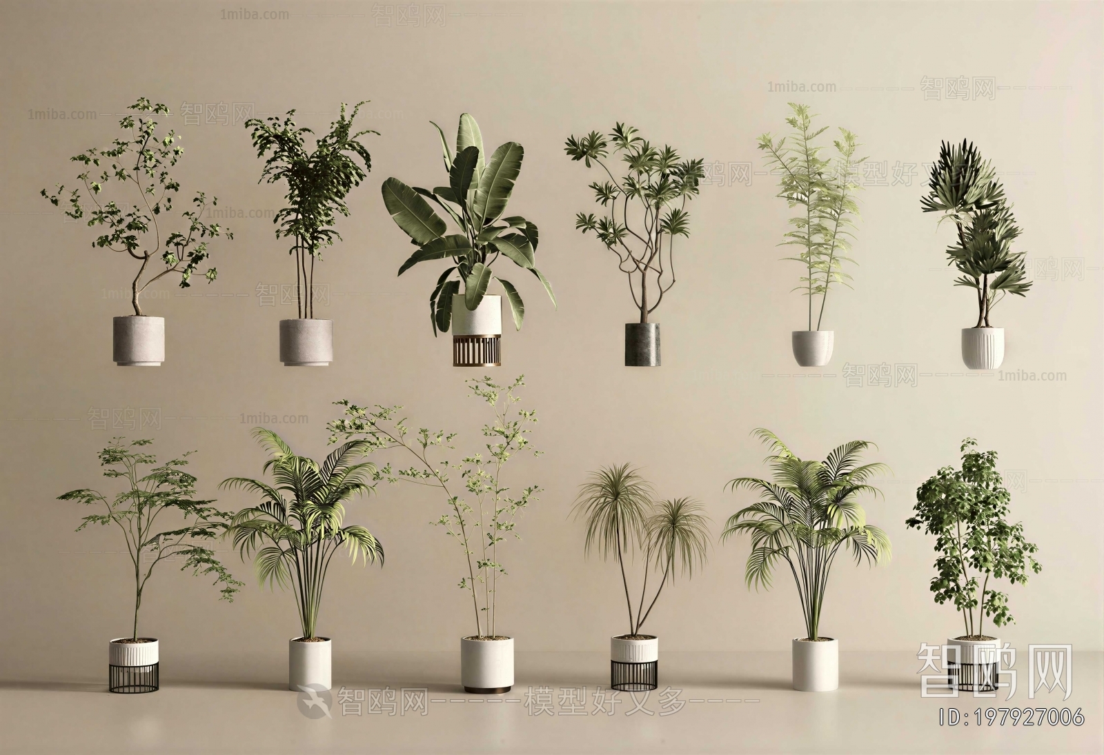 Modern Ground Green Plant Potted Plants