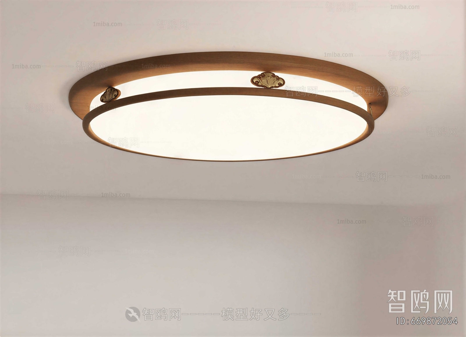 Modern Ceiling Ceiling Lamp