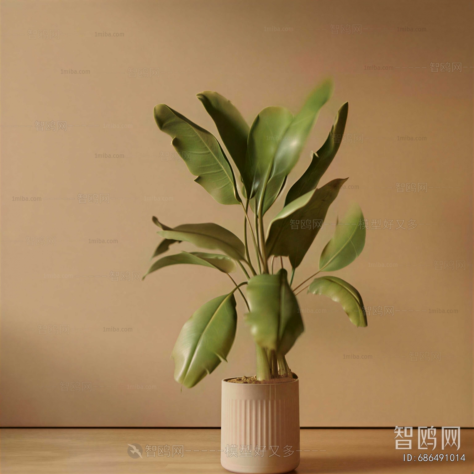 Modern Ground Green Plant Potted Plants