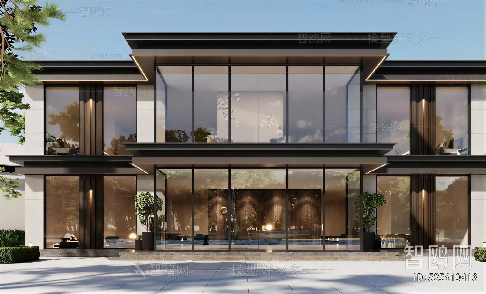 Modern Villa Appearance