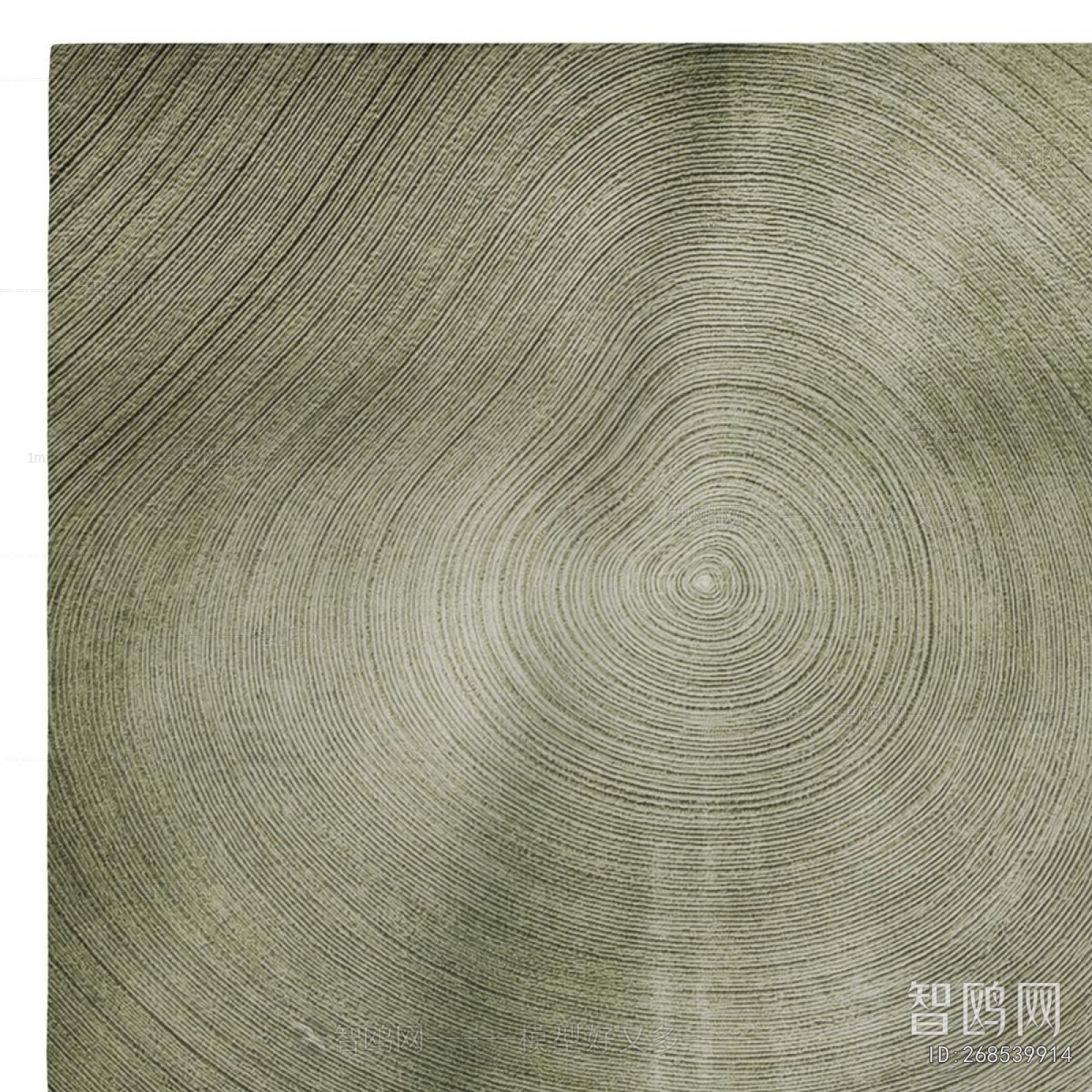 Modern The Carpet