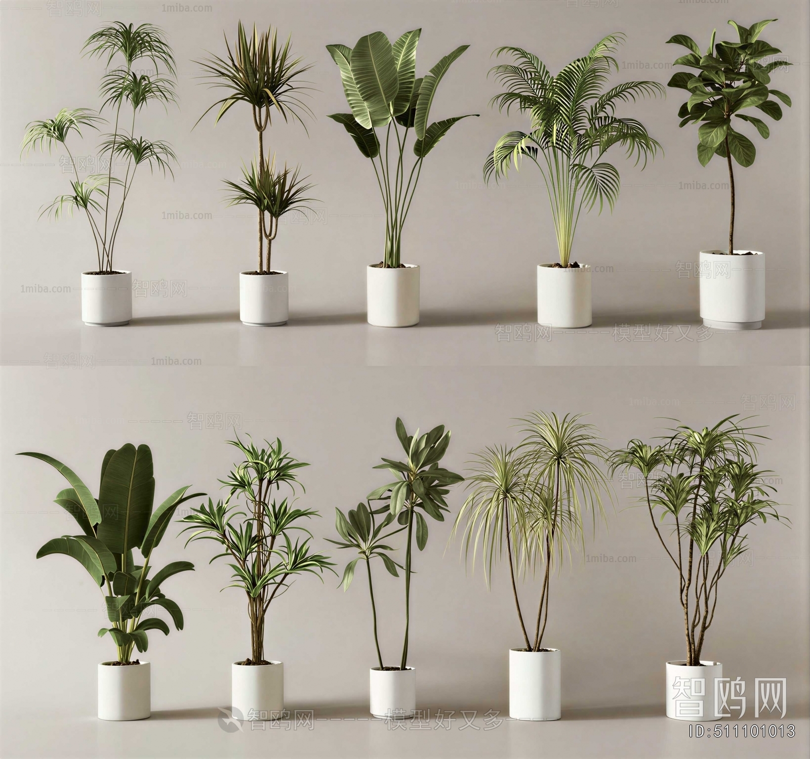 Modern Ground Green Plant Potted Plants