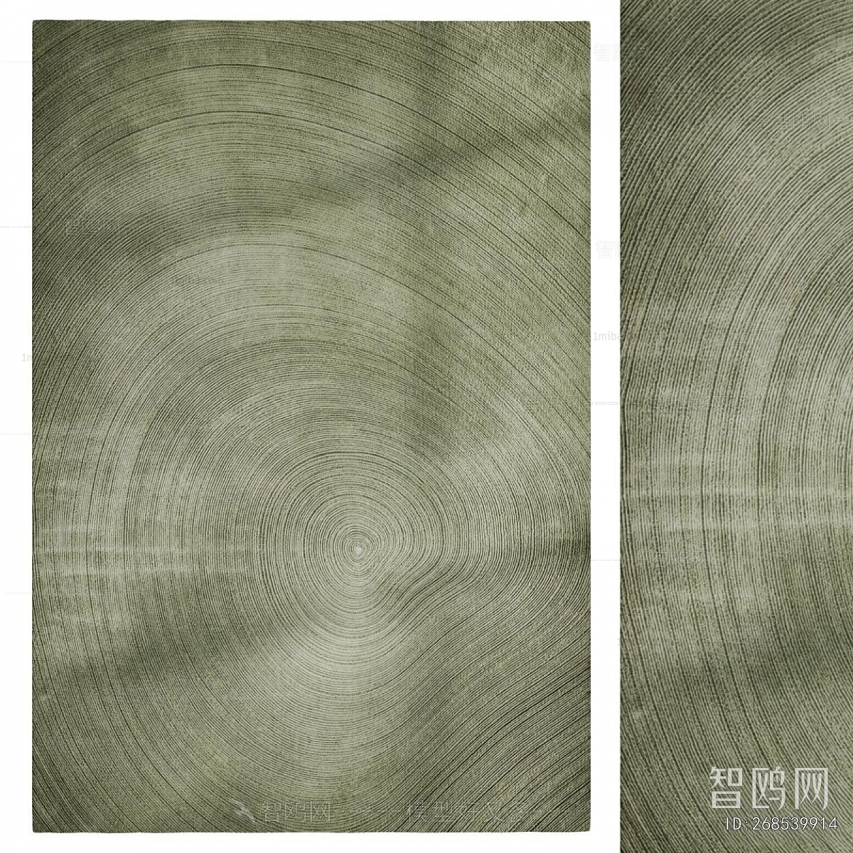 Modern The Carpet
