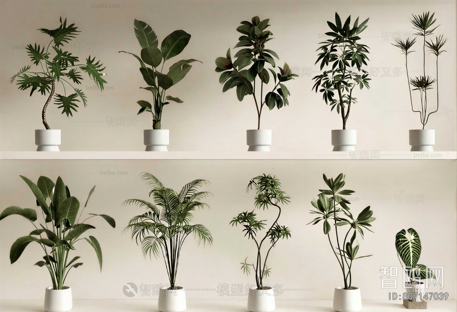 Modern Ground Green Plant Potted Plants