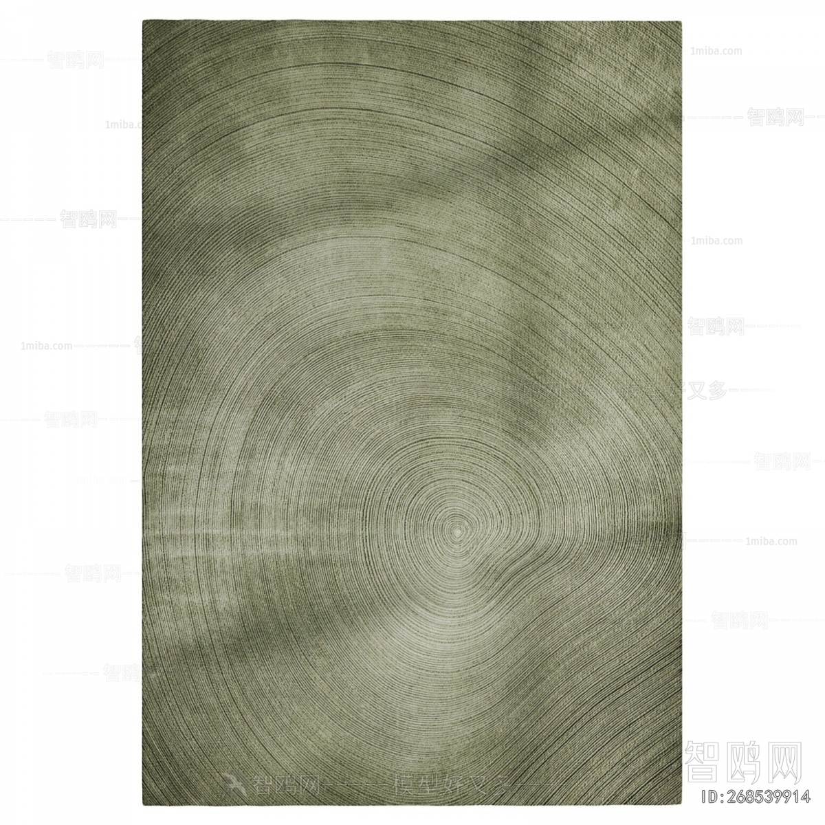 Modern The Carpet
