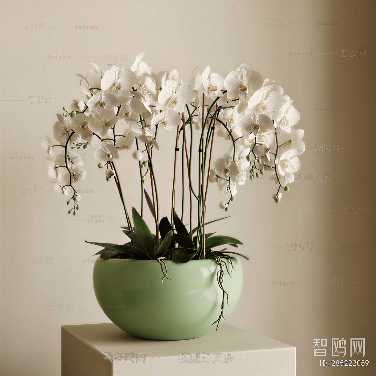 Modern Potted Green Plant
