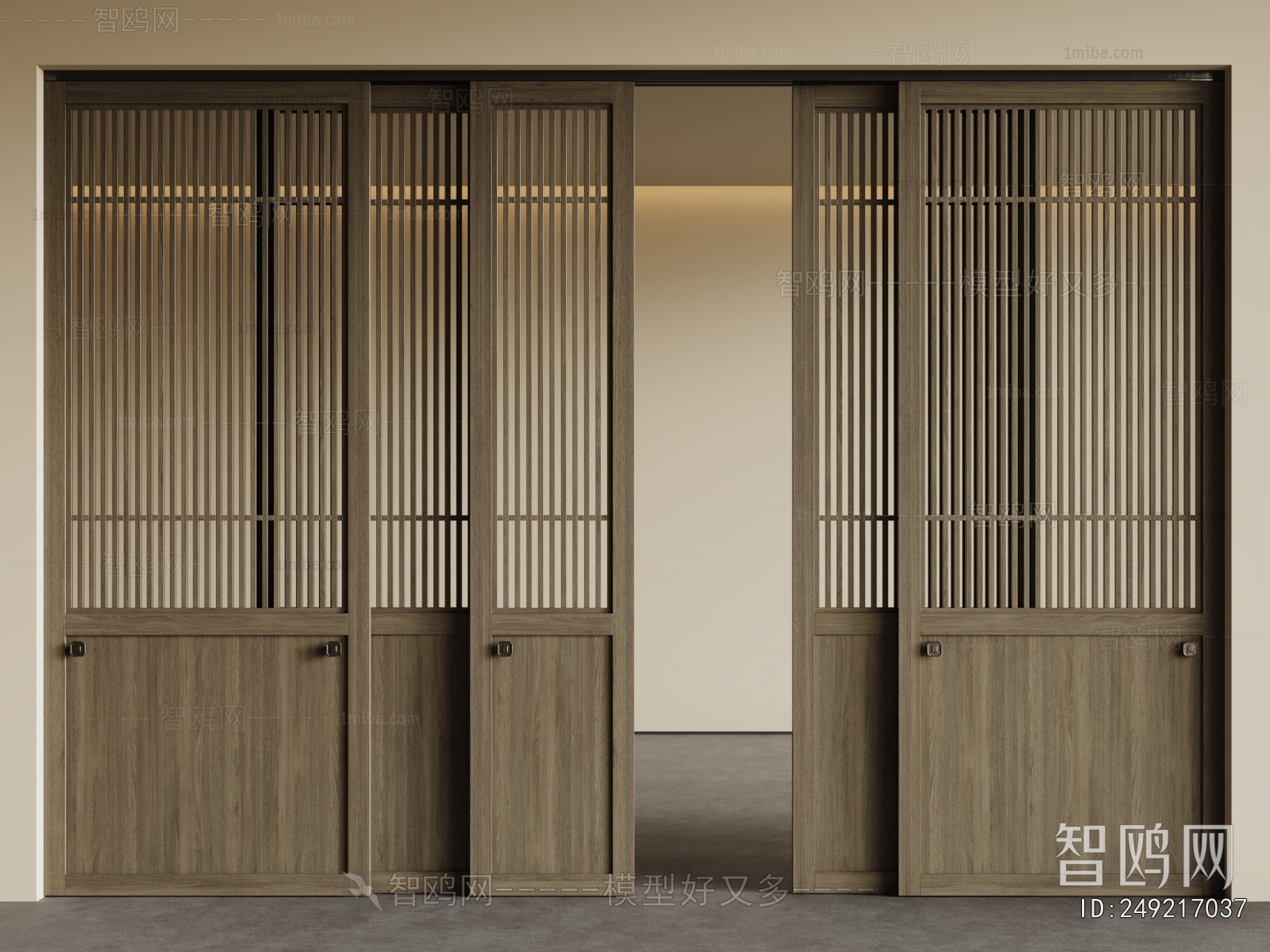 Modern Sliding Door