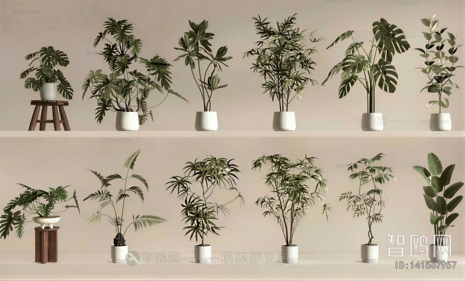 Modern Ground Green Plant Potted Plants