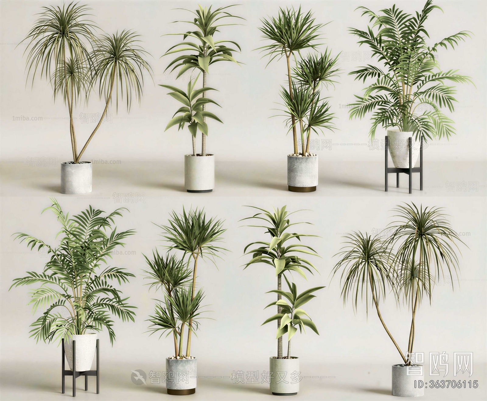 Modern Ground Green Plant Potted Plants