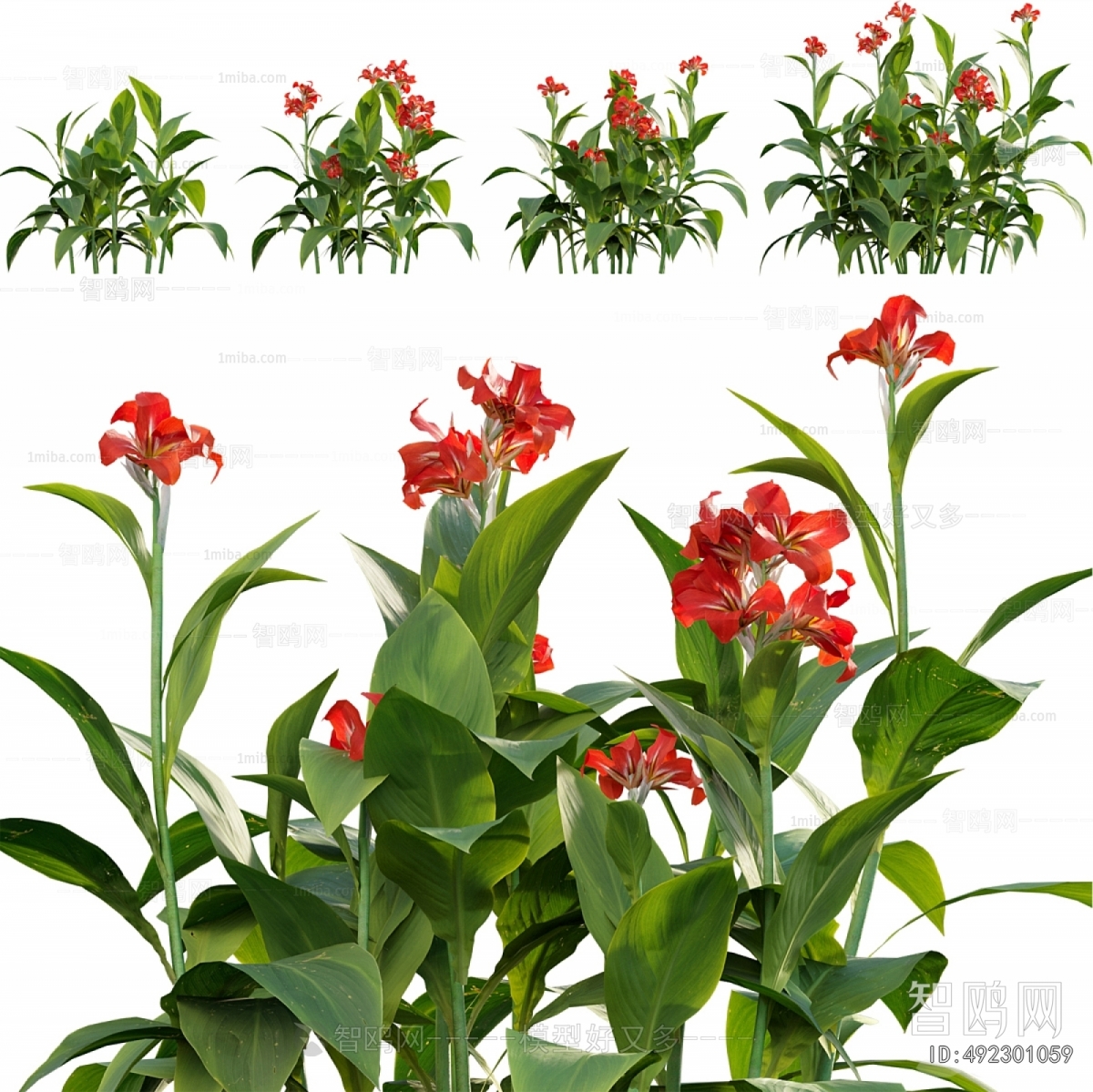 Modern Plant