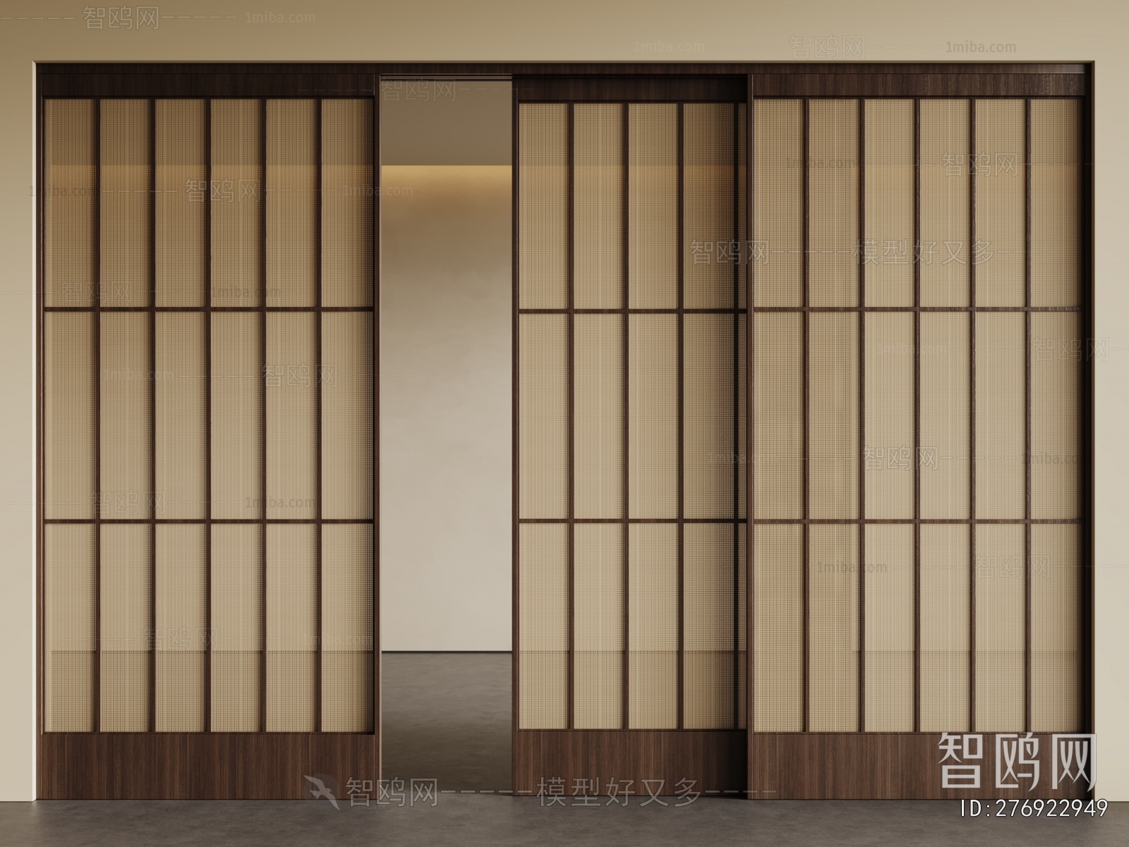 Modern Sliding Door
