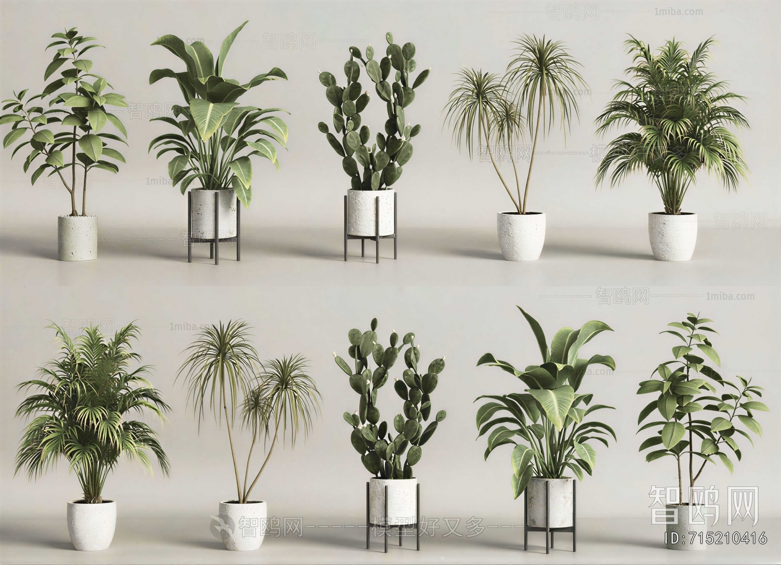 Modern Ground Green Plant Potted Plants