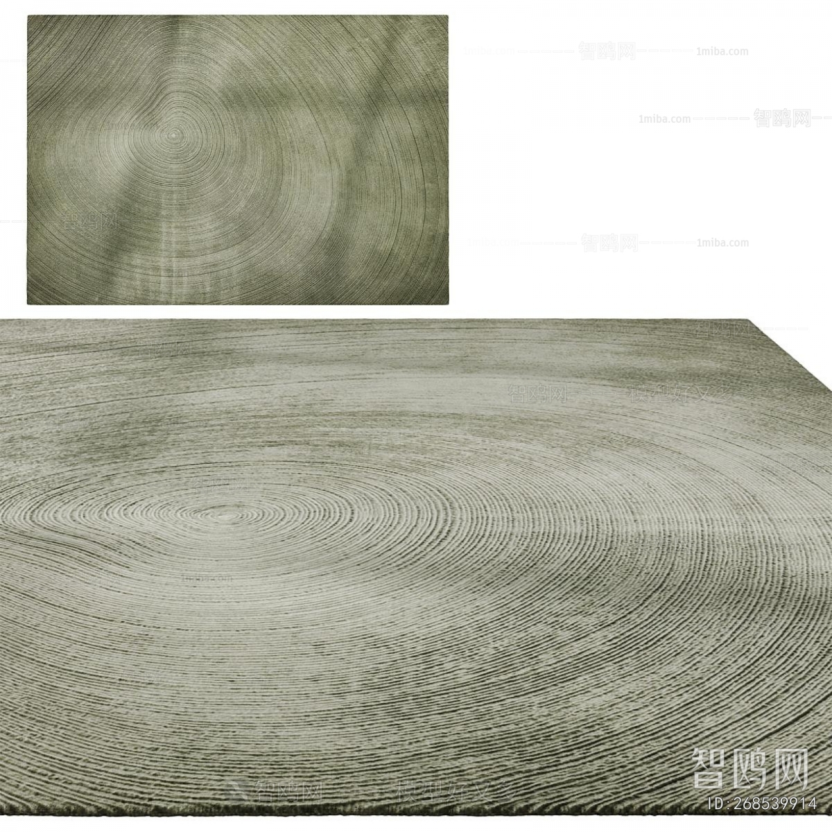 Modern The Carpet