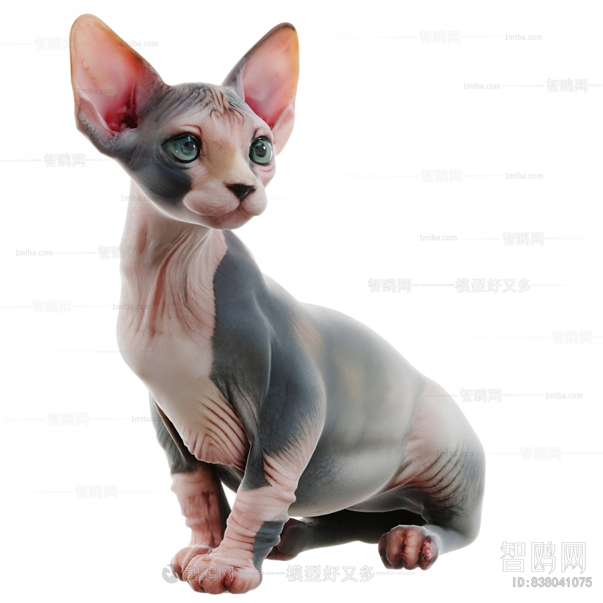 Modern Animal Cat