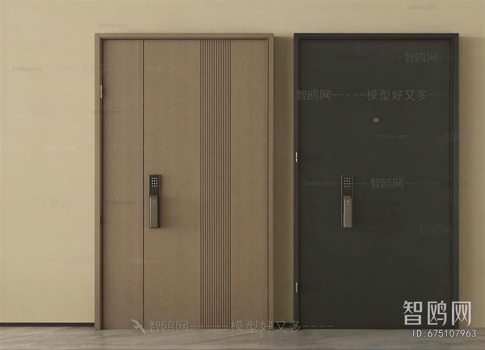 Modern Entrance Door