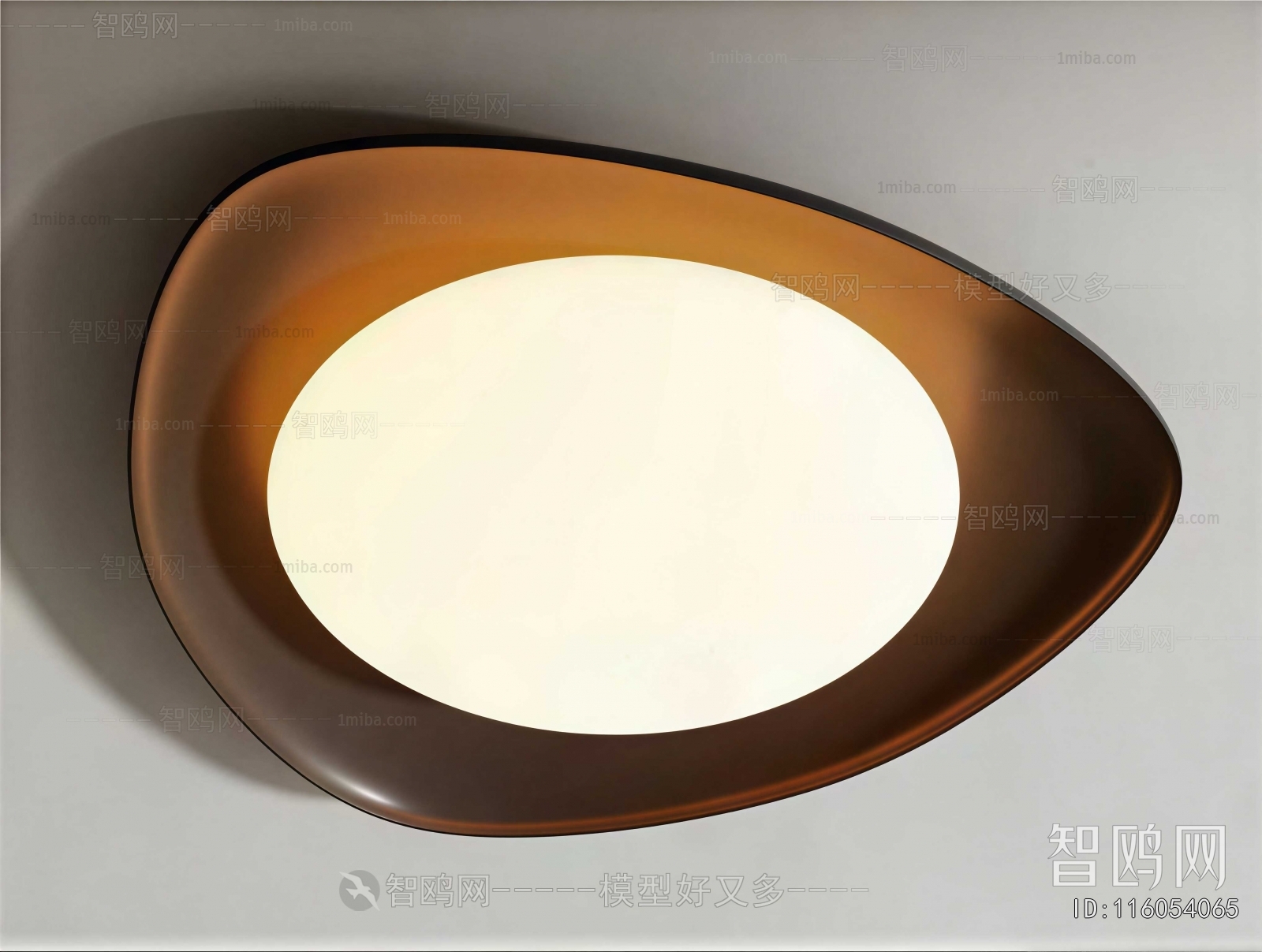 Modern Ceiling Ceiling Lamp