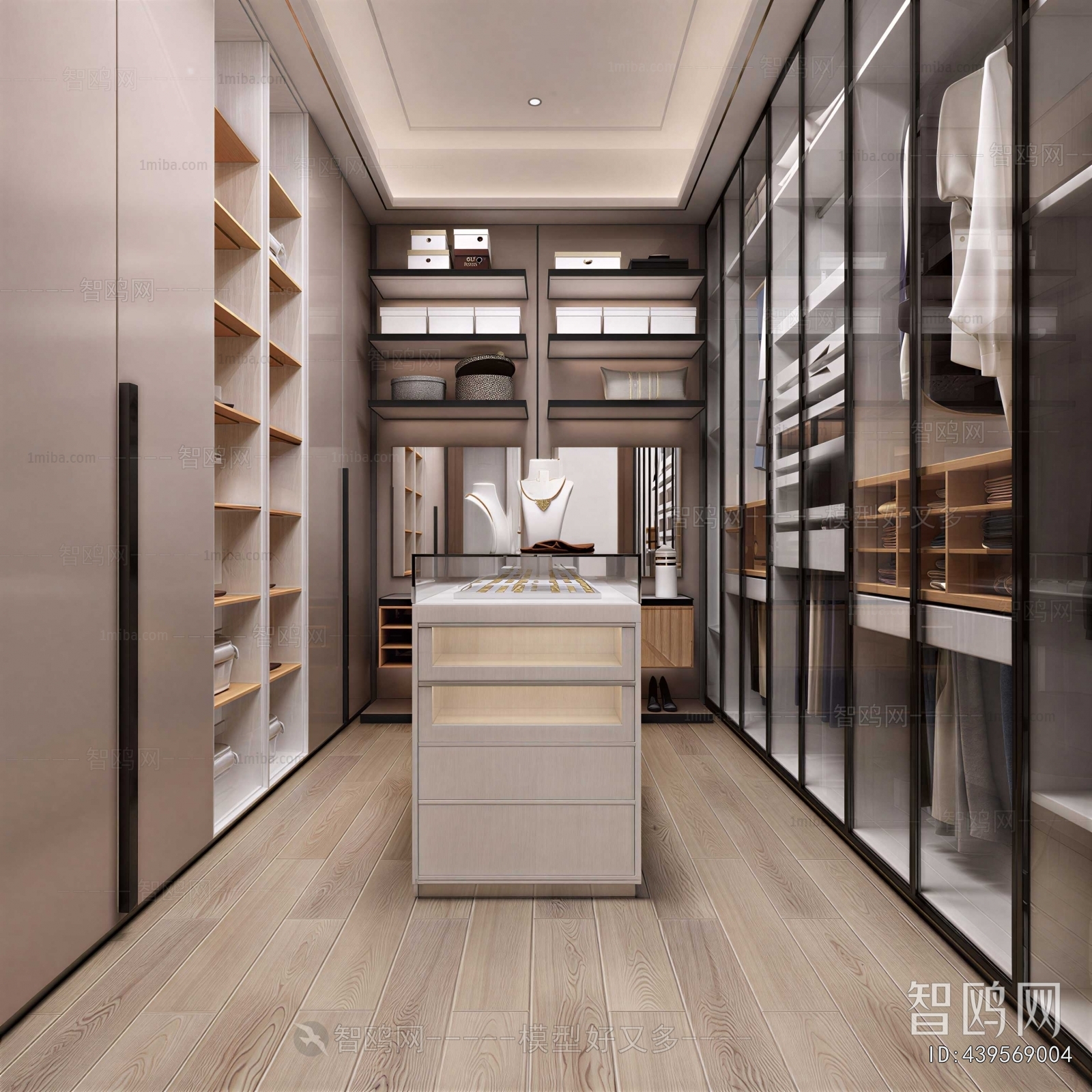 Modern Clothes Storage Area