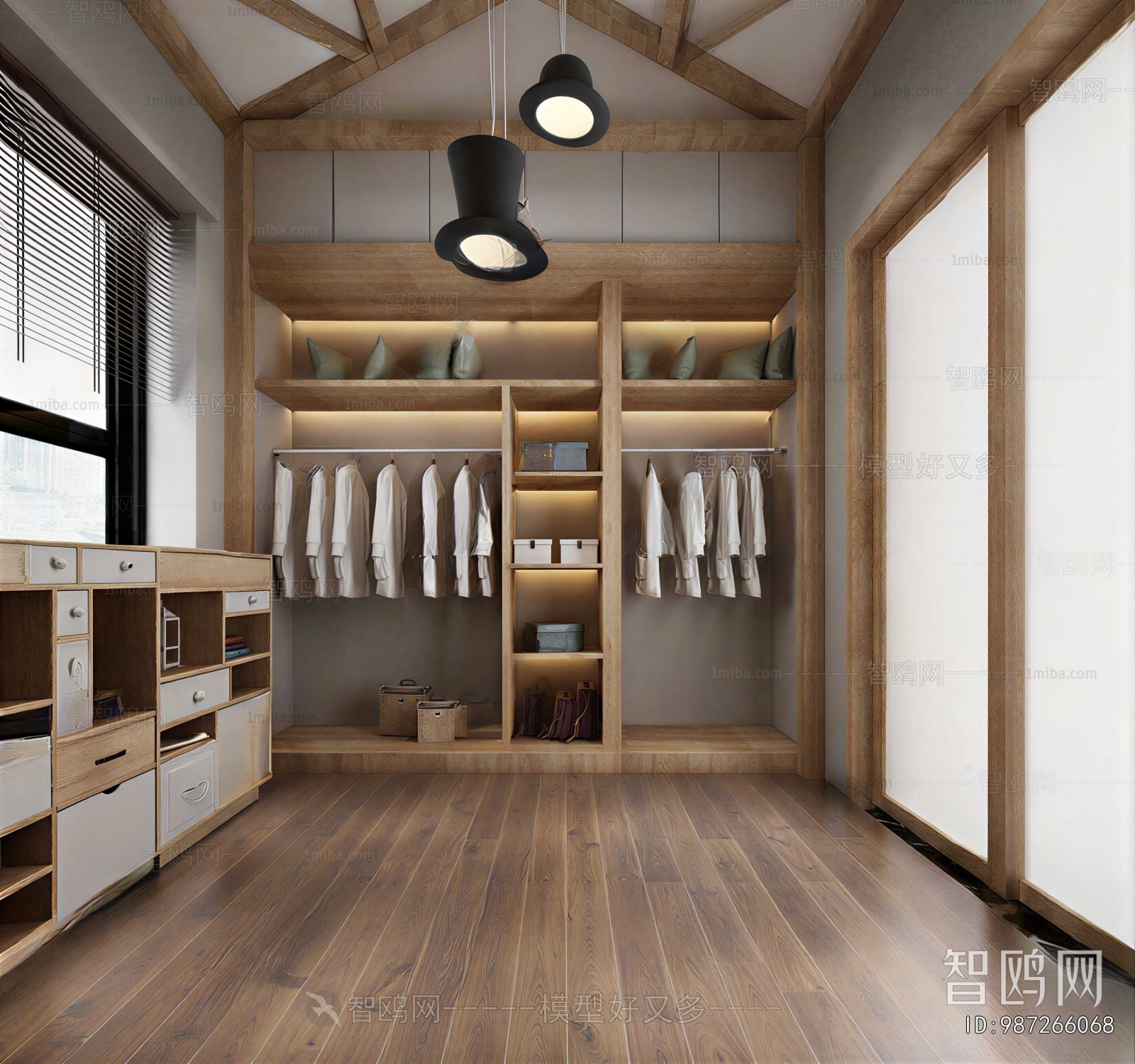 Modern Clothes Storage Area