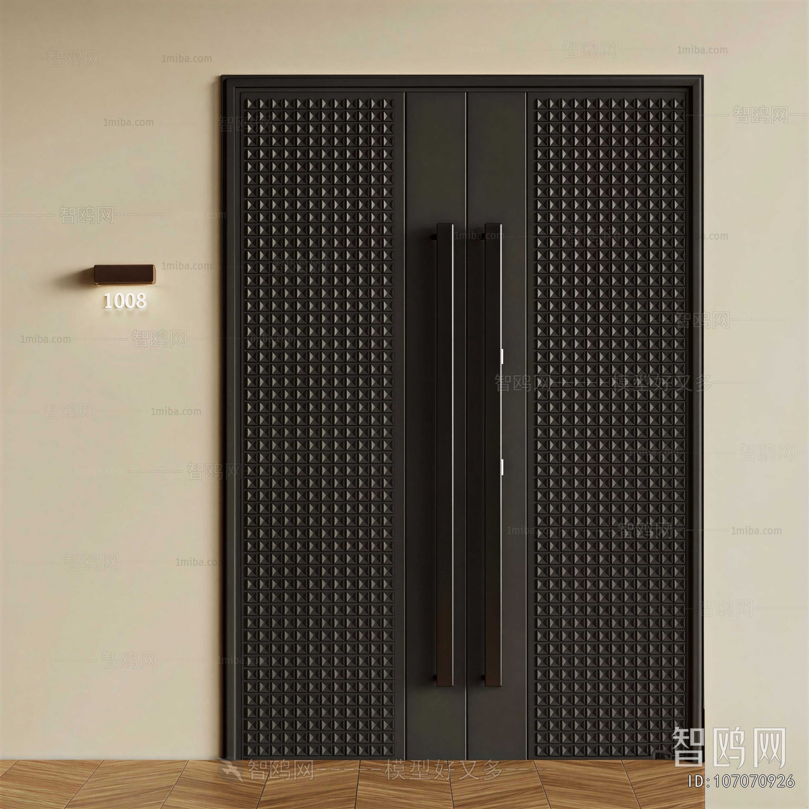Modern Entrance Door
