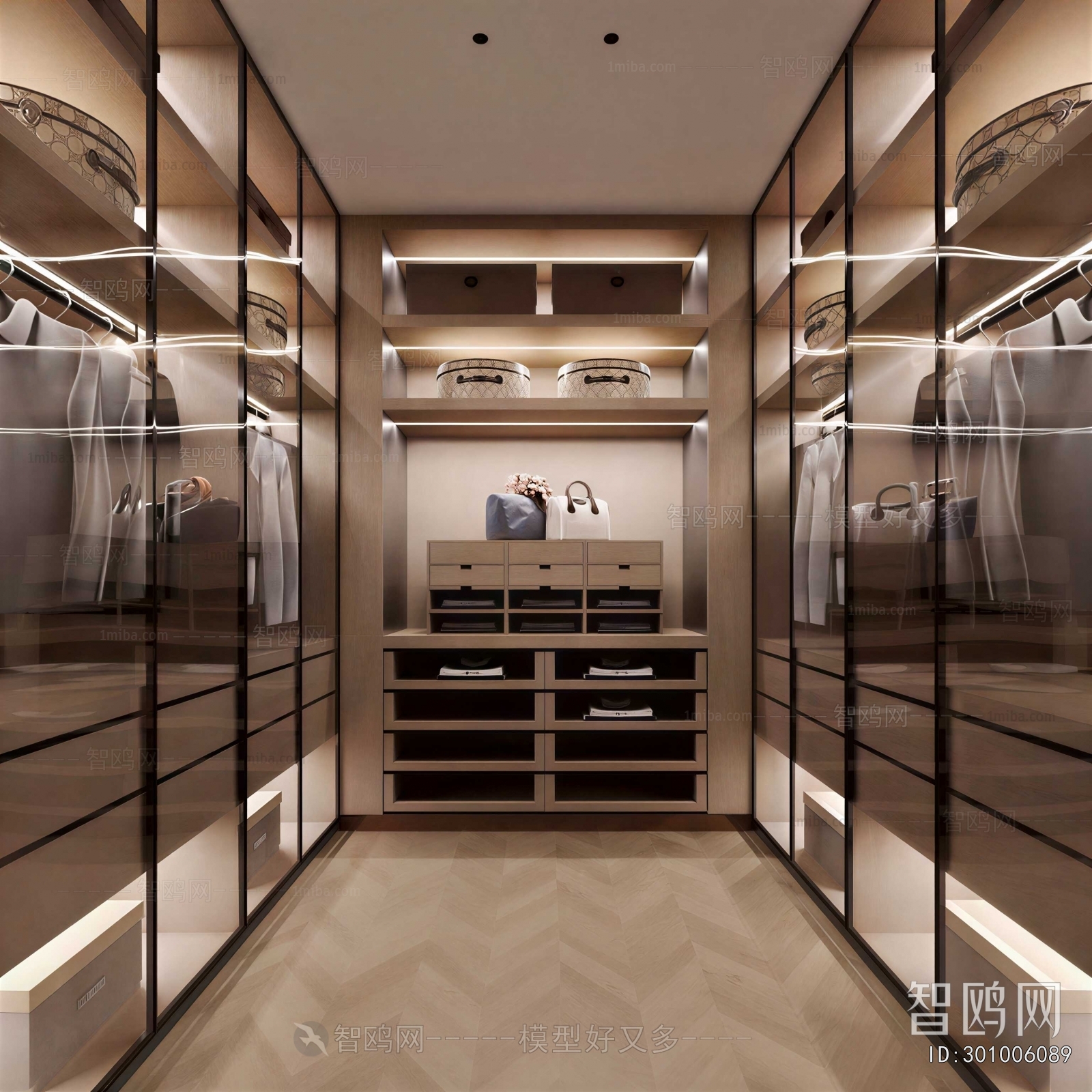 Modern Clothes Storage Area