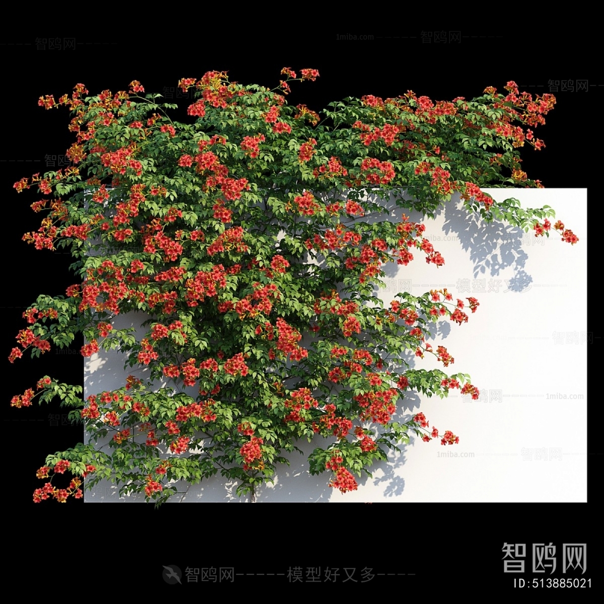 Modern Vine