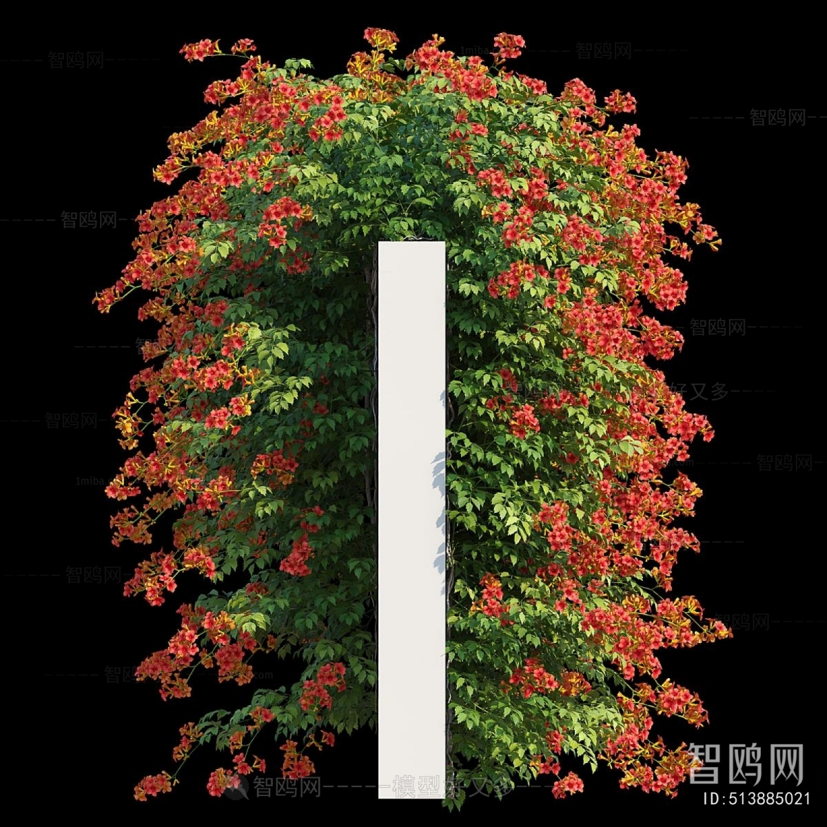 Modern Vine