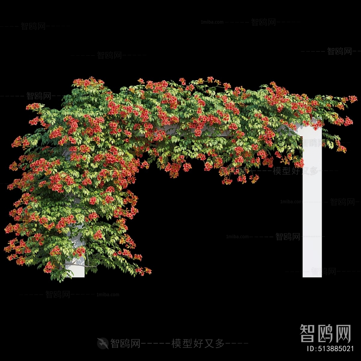 Modern Vine