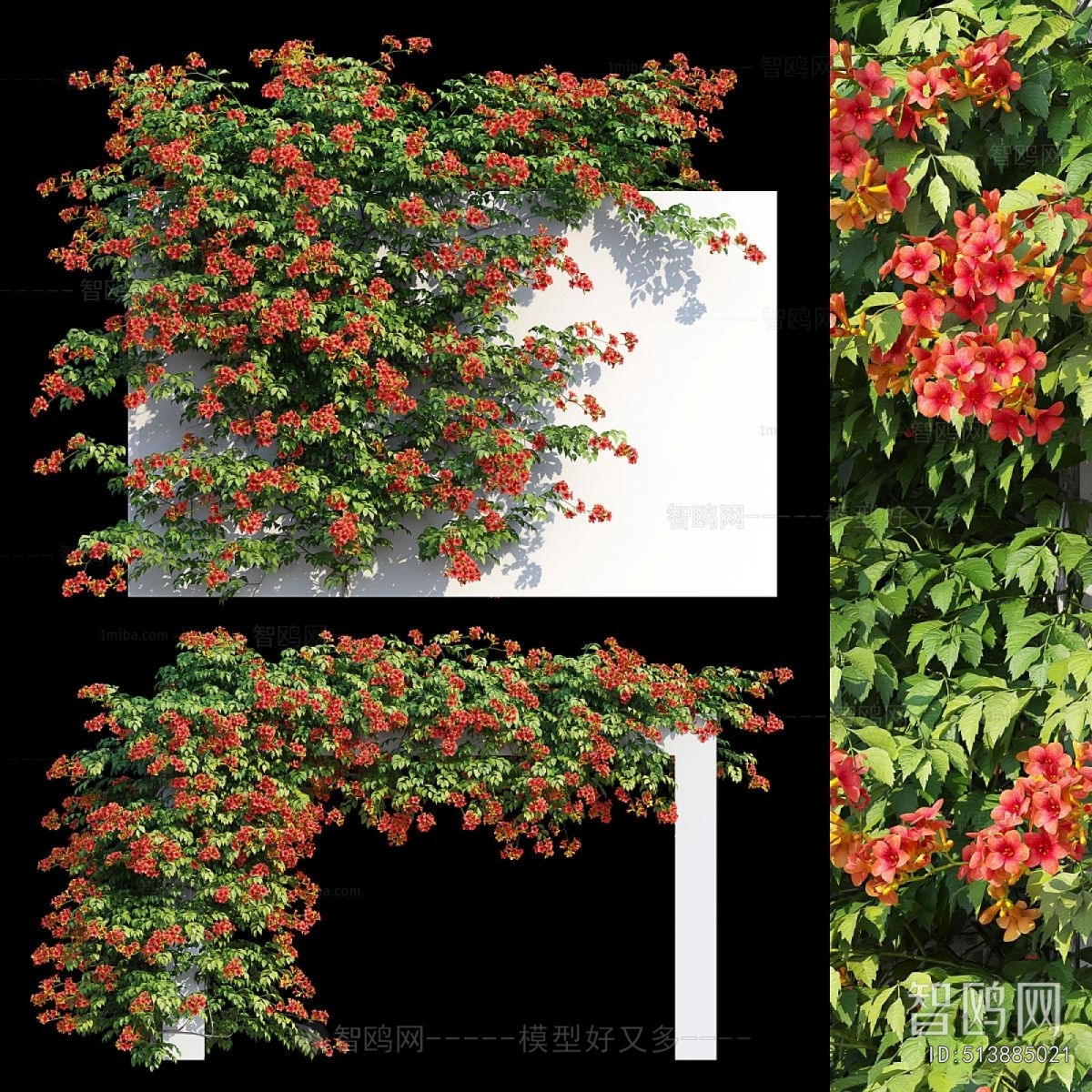 Modern Vine