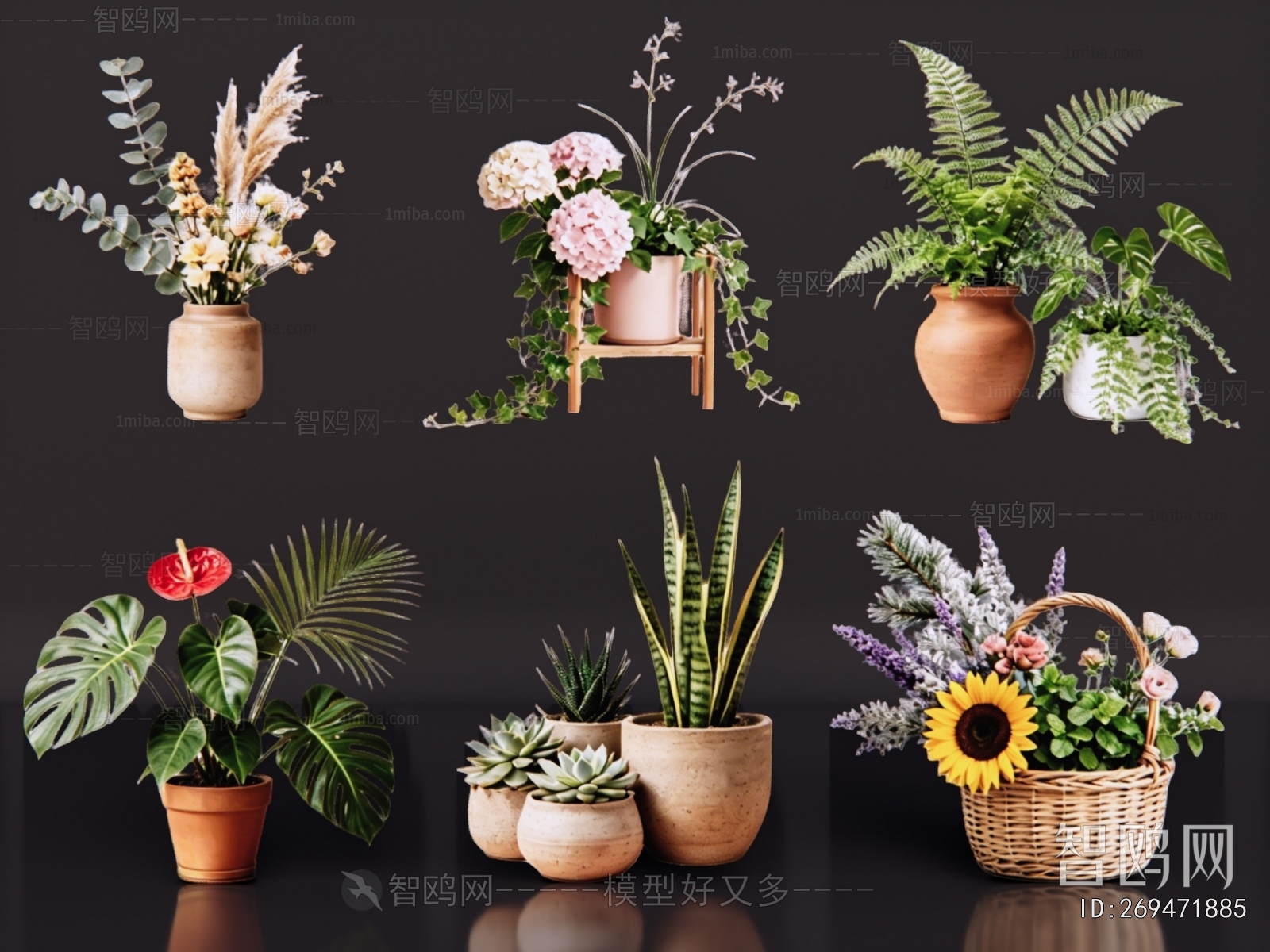 Modern Ground Green Plant Potted Plants