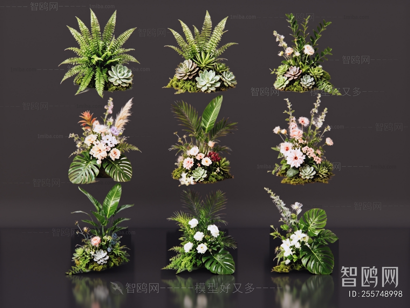 Modern Flowers And Grass