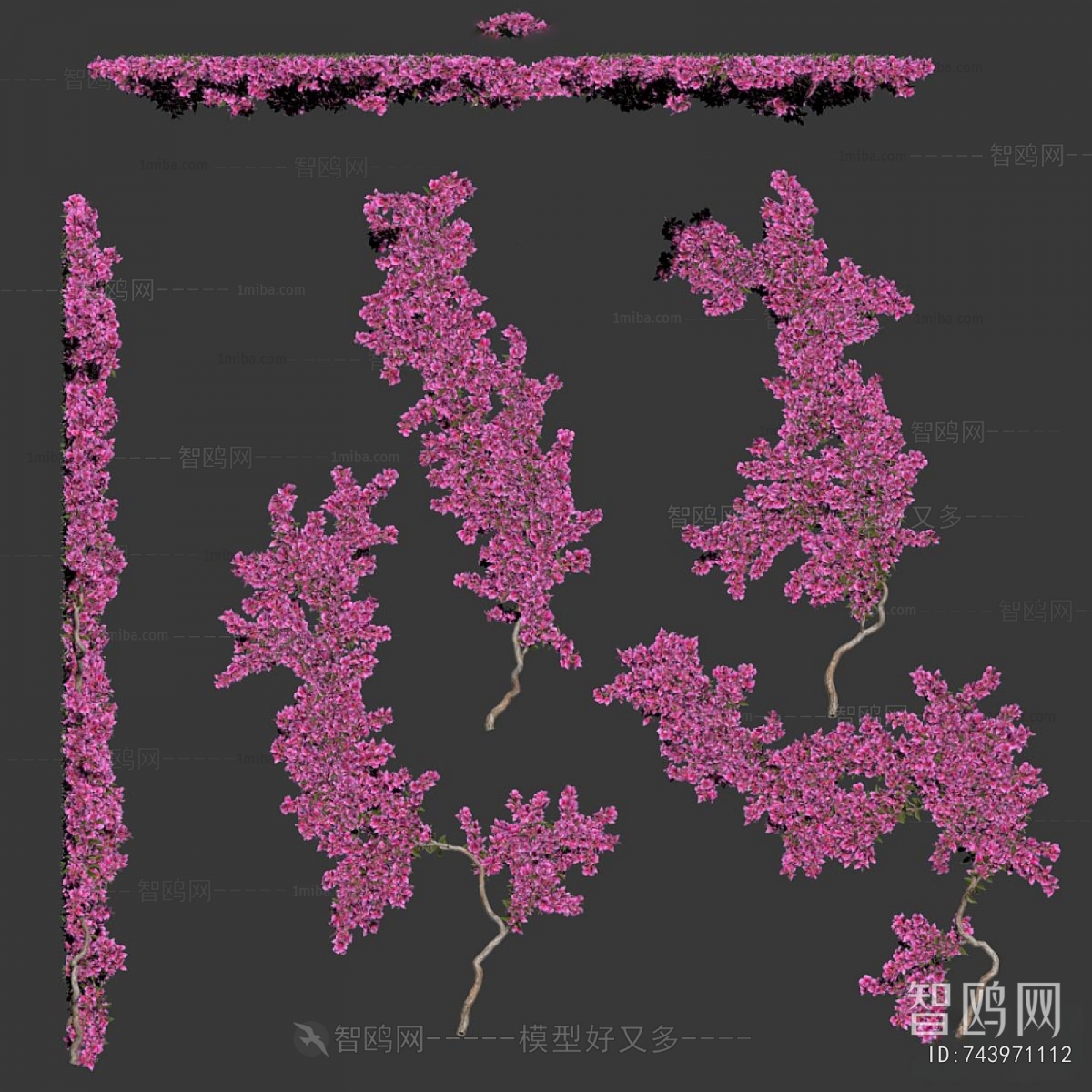 Modern Vine