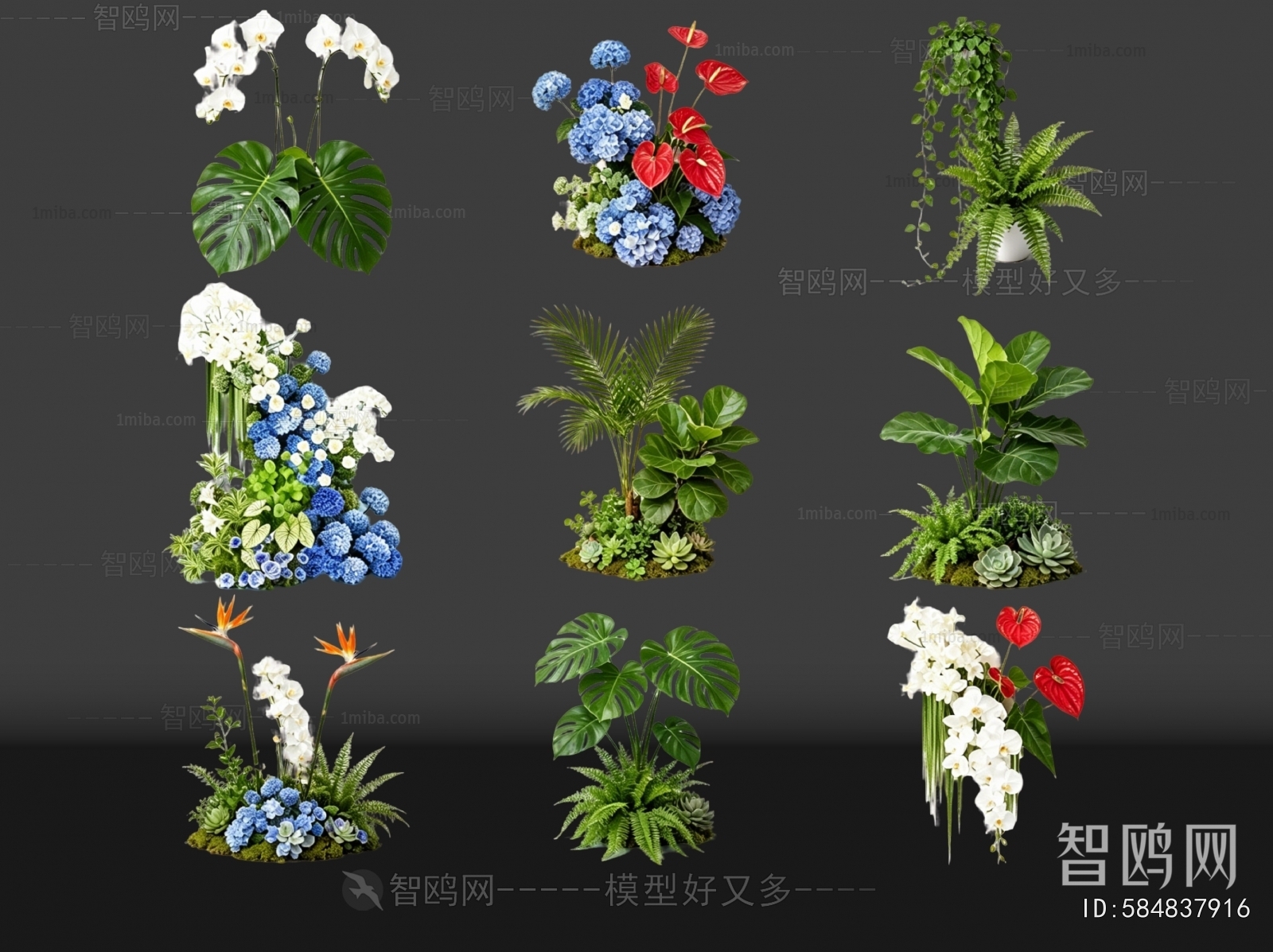 Modern Flowers And Grass