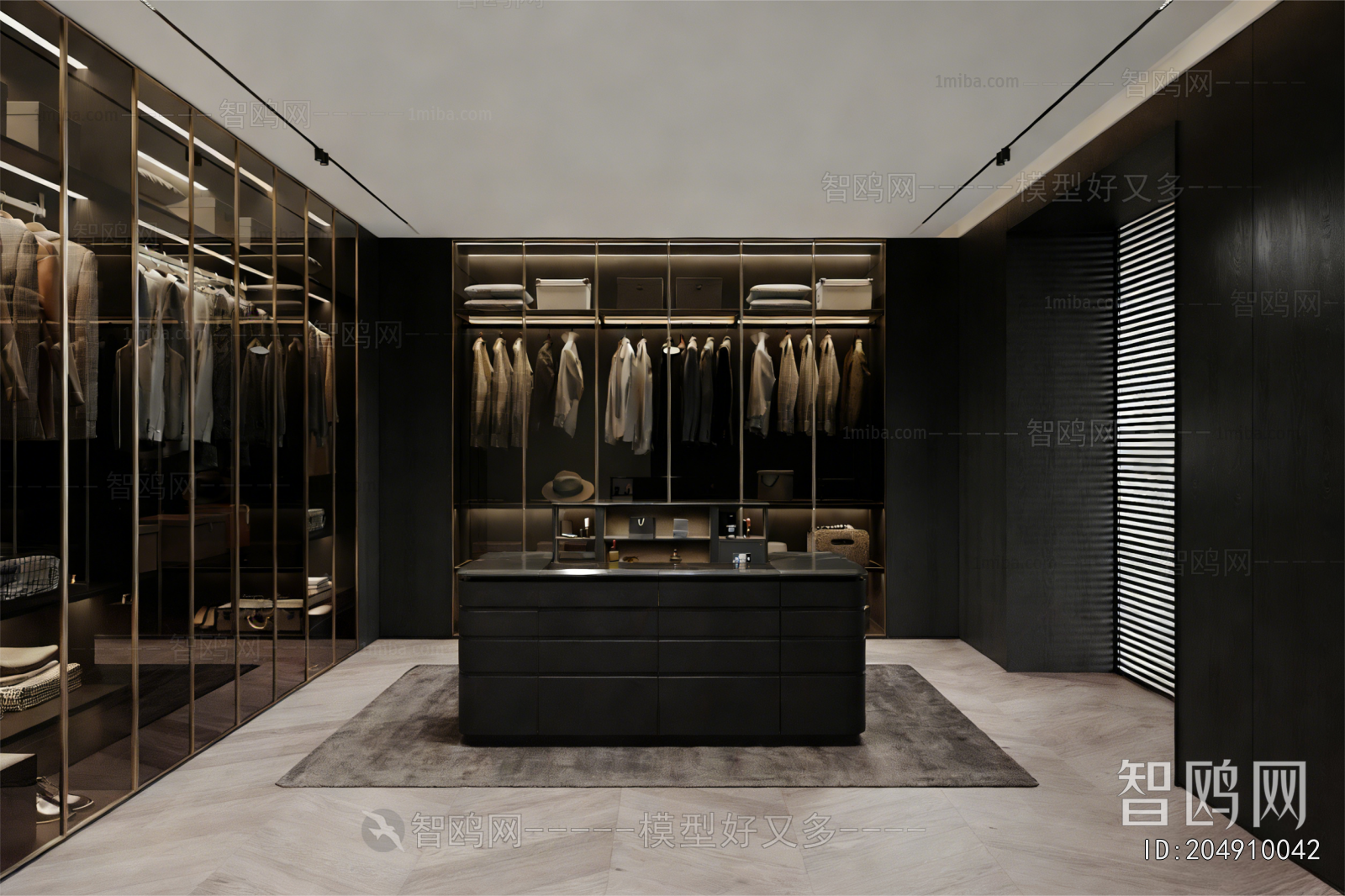 Modern Clothes Storage Area
