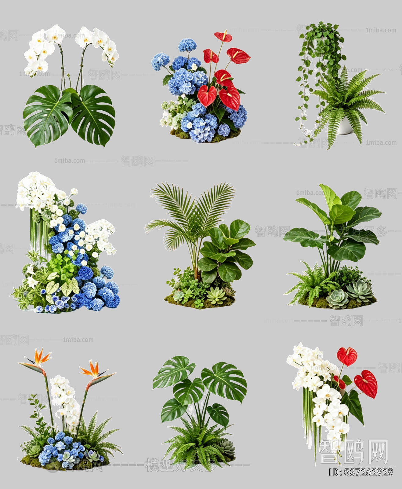 Flowers