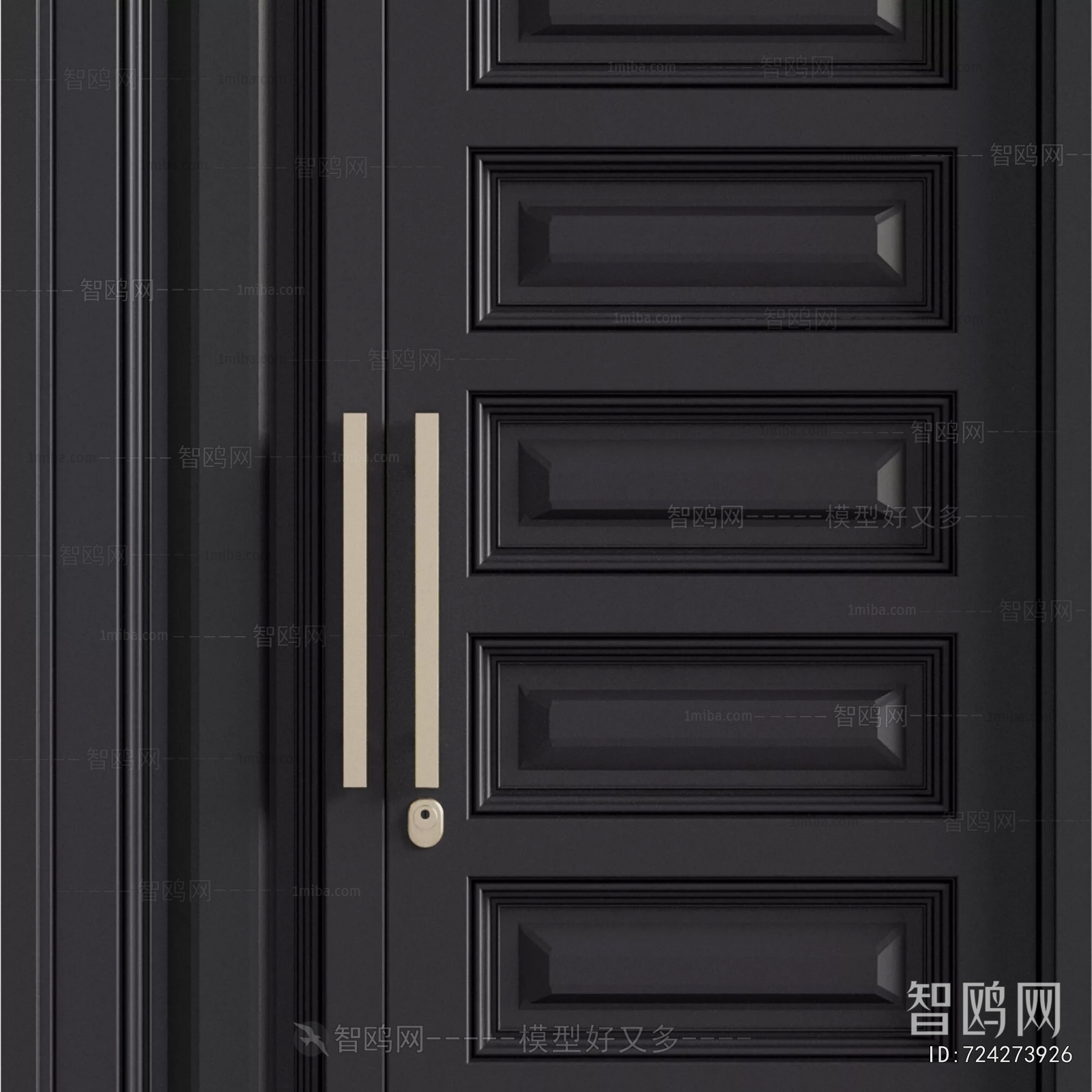 Modern Entrance Door