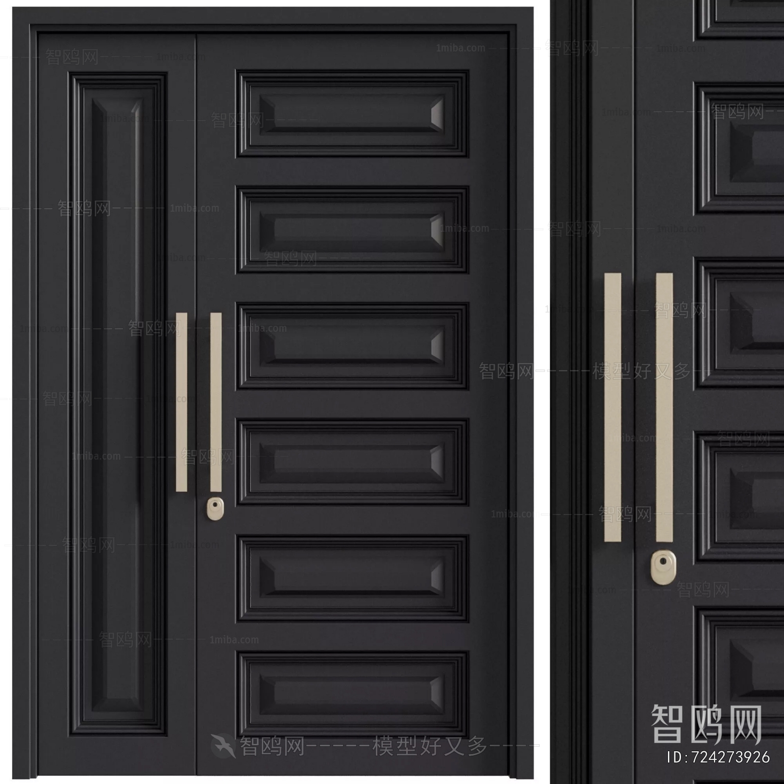 Modern Entrance Door