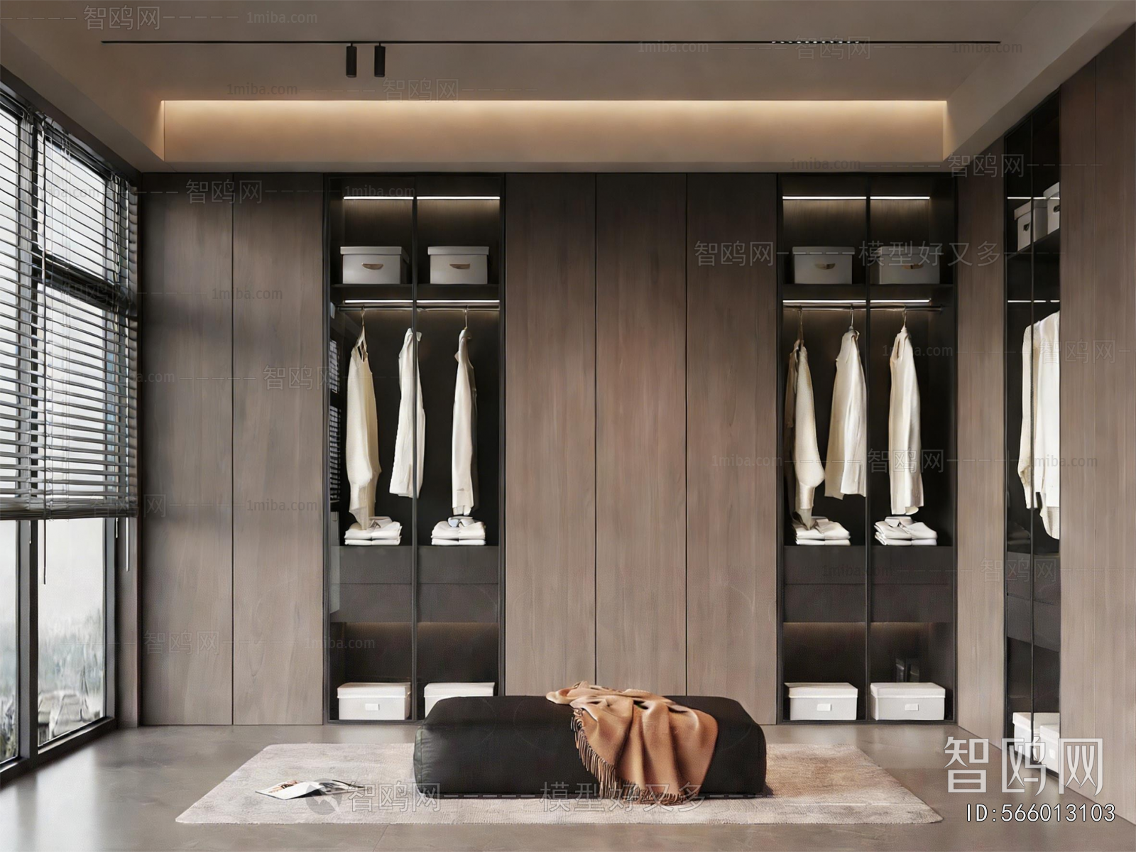 Modern Clothes Storage Area