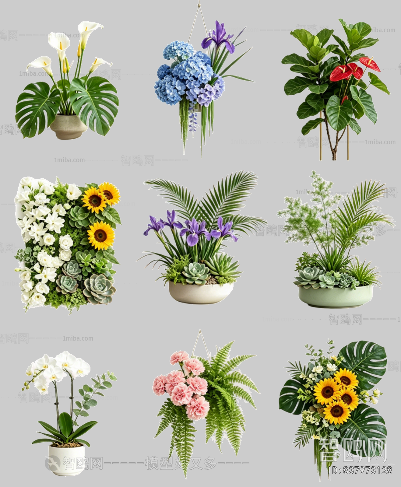 Flowers