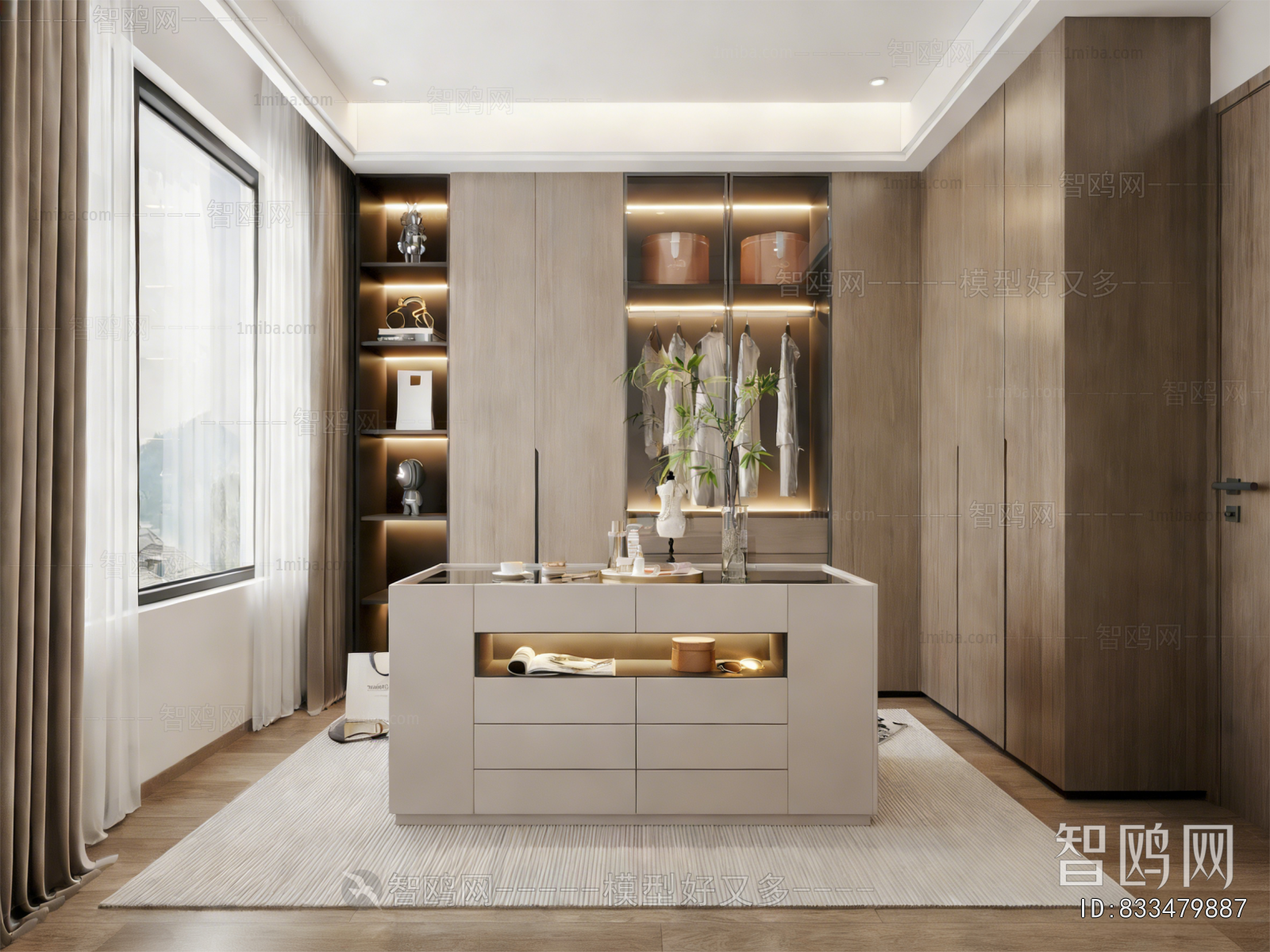 Modern Clothes Storage Area