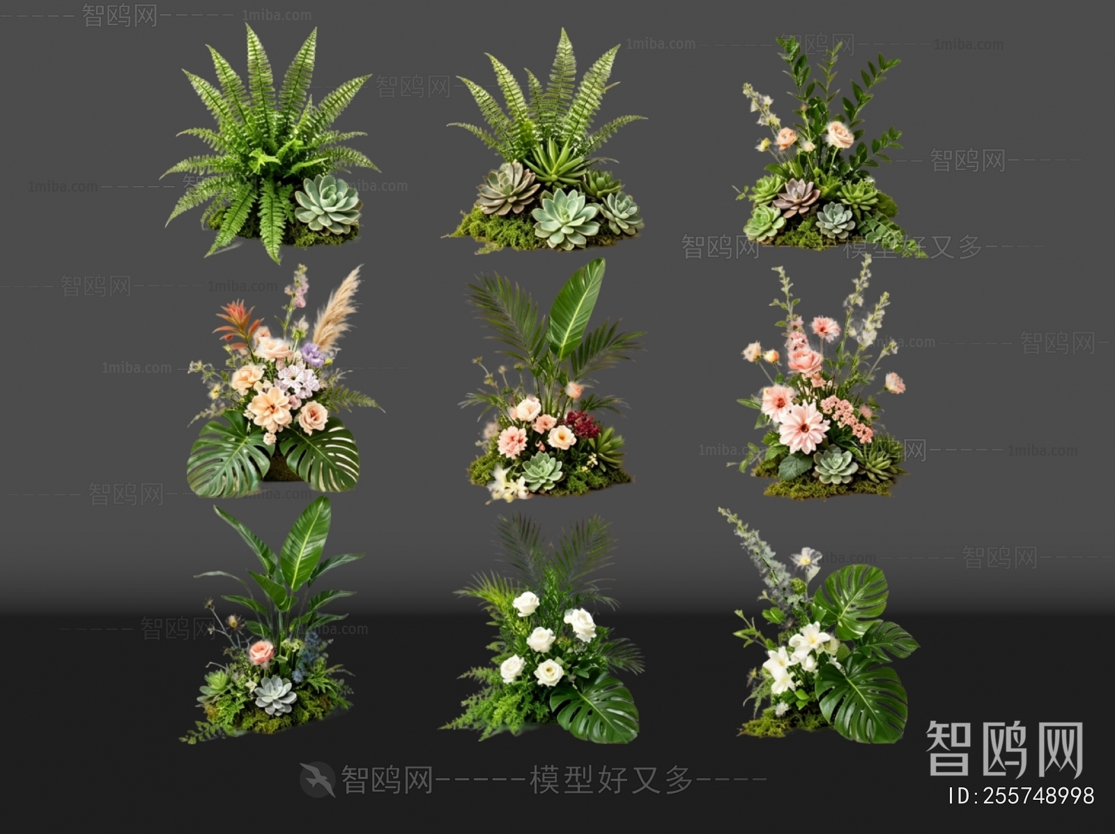 Modern Flowers And Grass