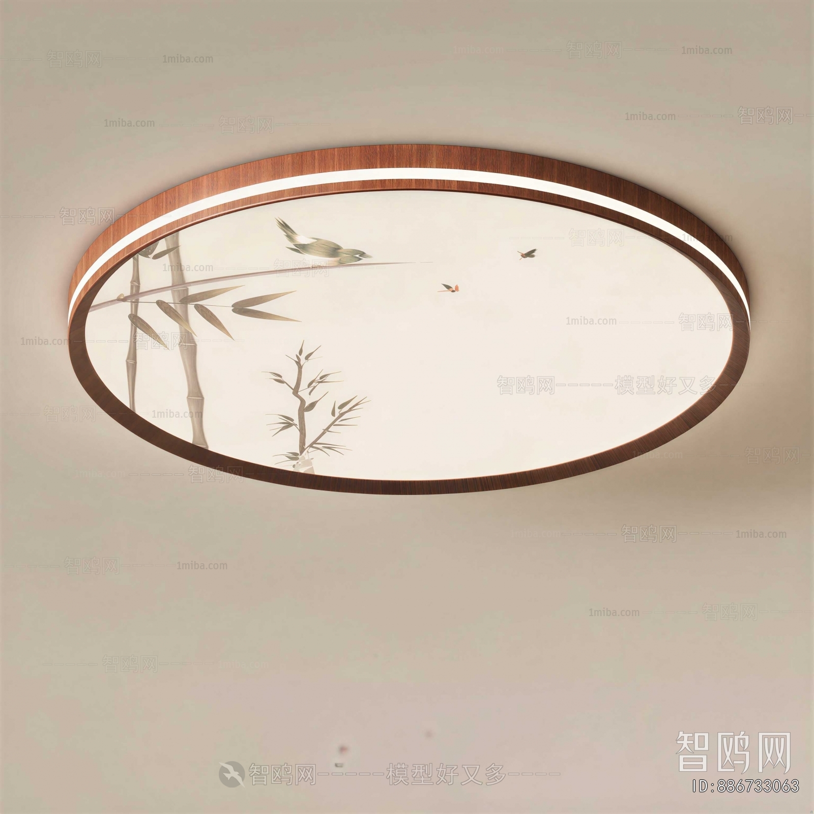 Modern Ceiling Ceiling Lamp