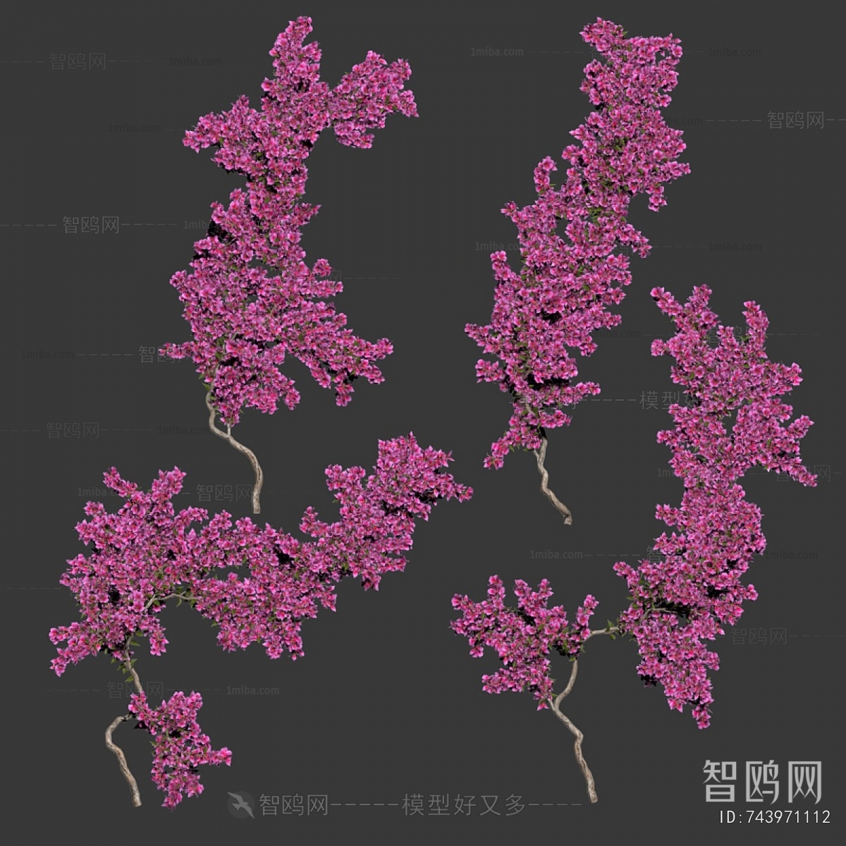 Modern Vine