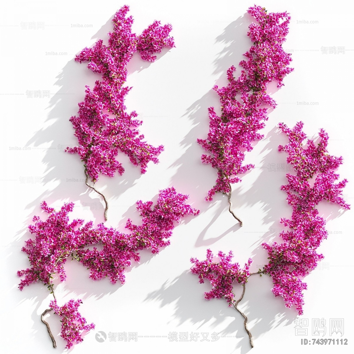 Modern Vine