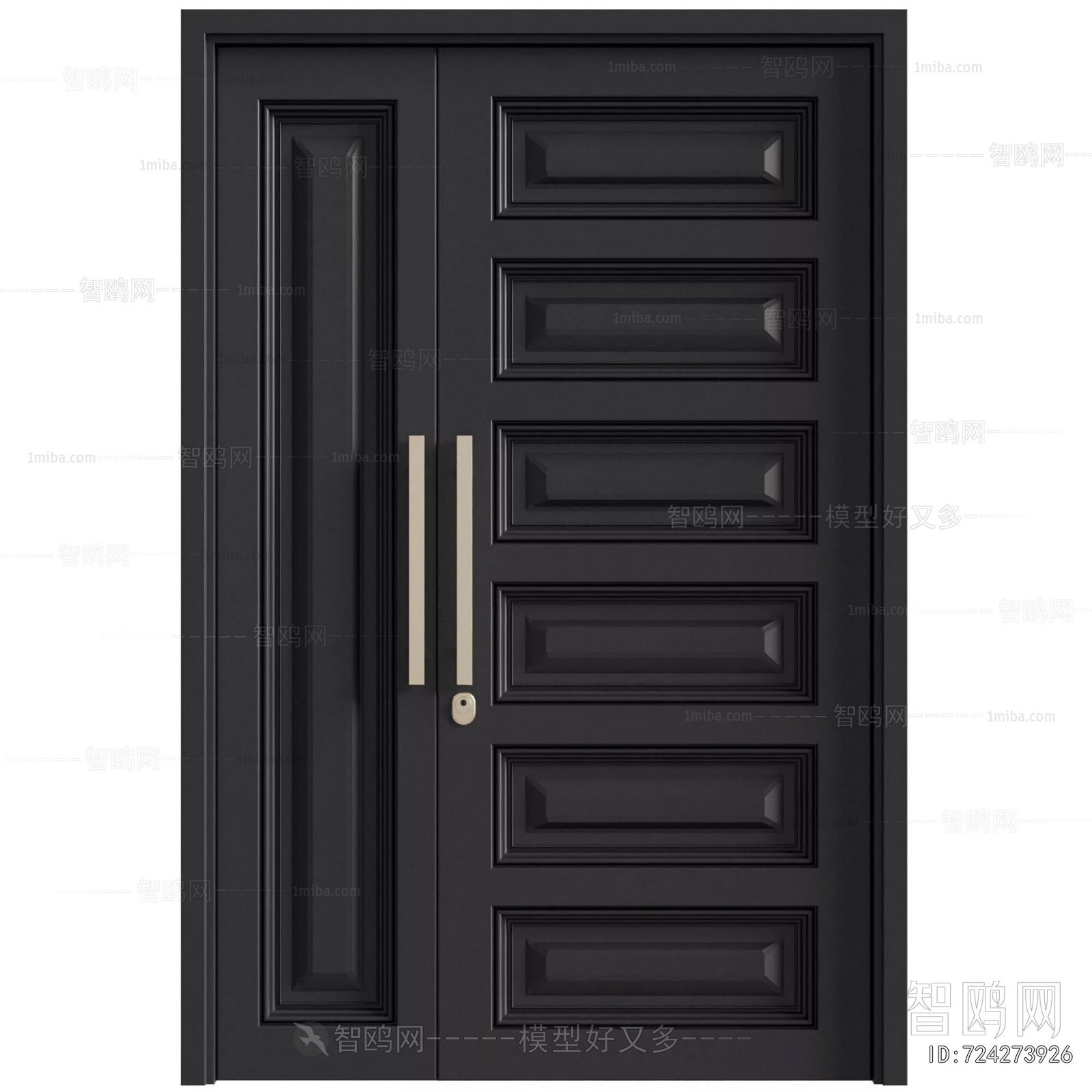 Modern Entrance Door