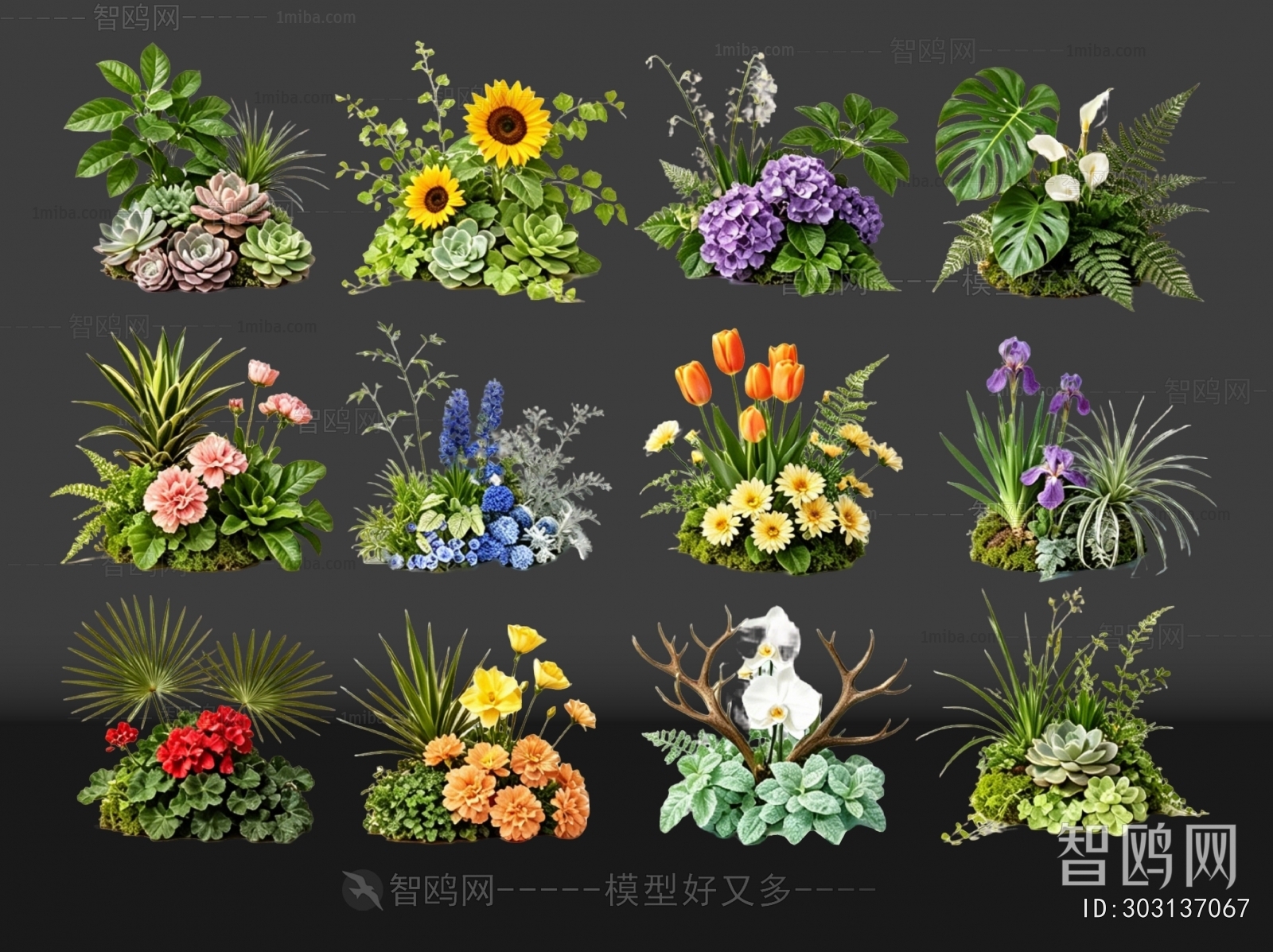 Modern Flowers And Grass