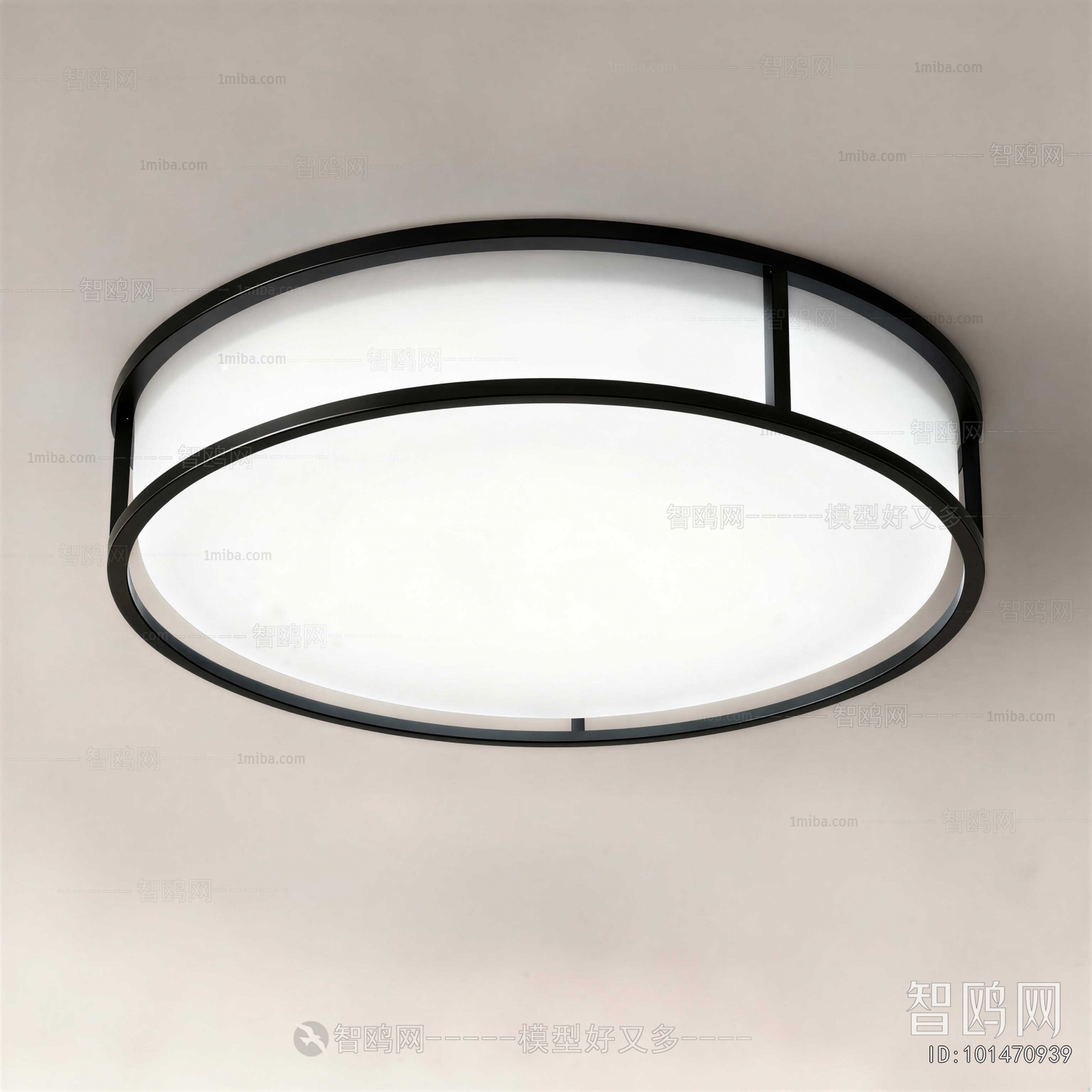 Modern Ceiling Ceiling Lamp