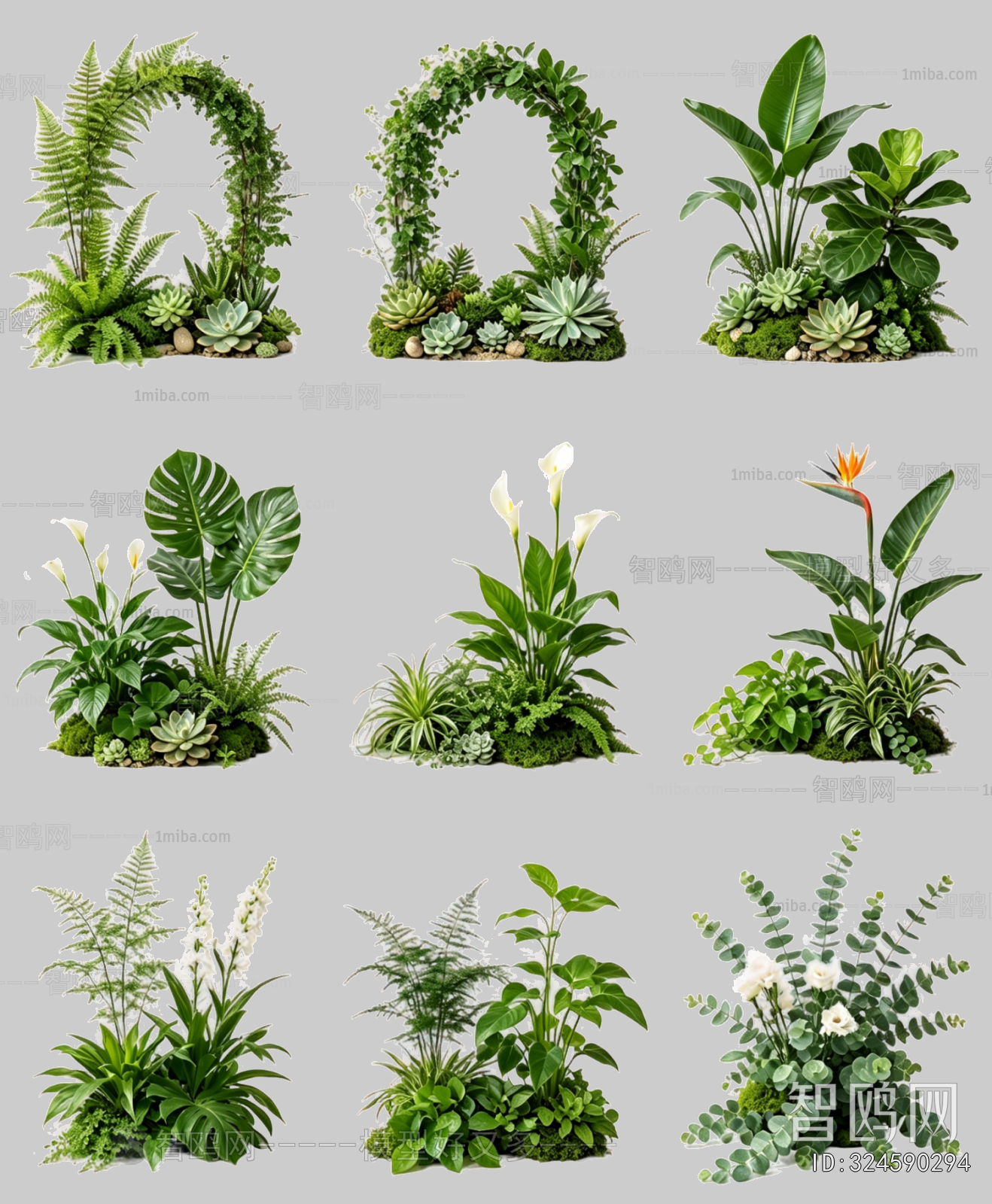 Flowers