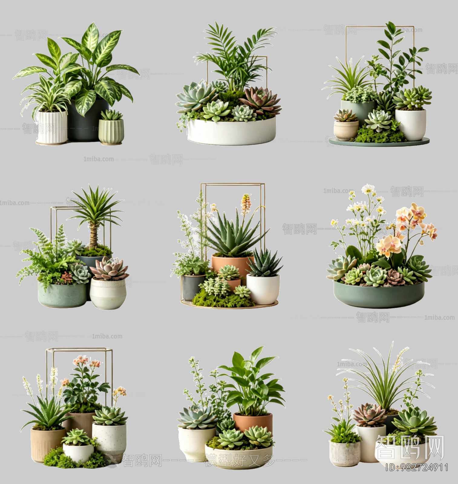 Flowers