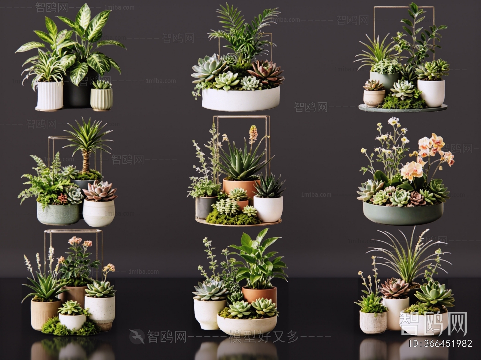 Modern Ground Green Plant Potted Plants